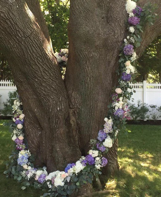 Single tree ring.jpg