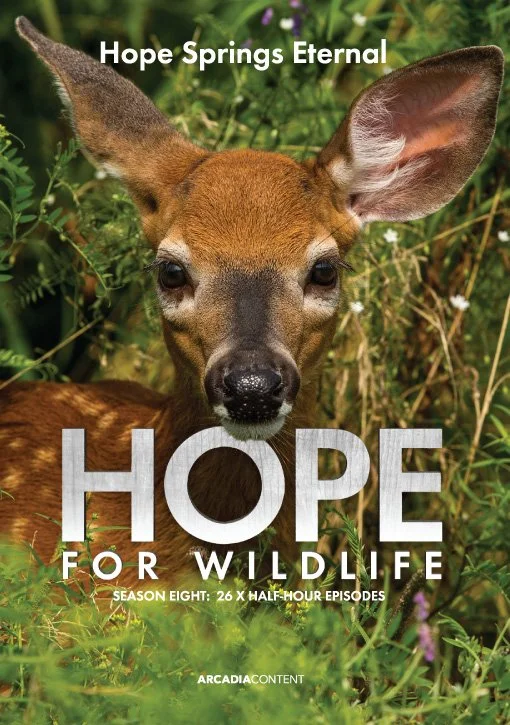 Hope for Wildlife S8 DVD cover.jpg