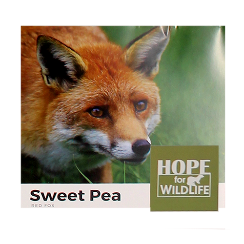 Animal Sponsorship — Hope For Wildlife