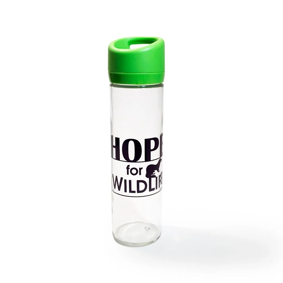 Glass Hope for Wildlife Water Bottle  Hope For Wildlife