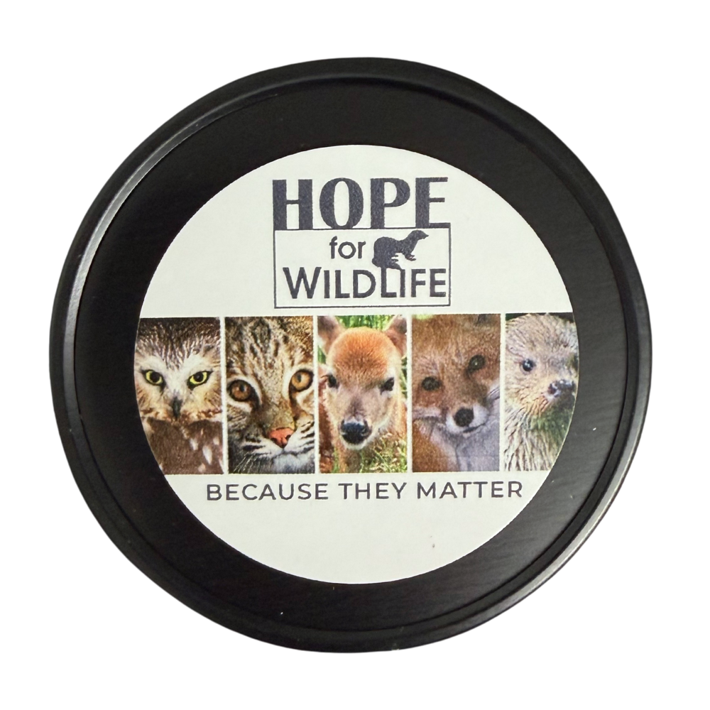 Soy Wax 7oz Glass Jar Candle-Lid.png