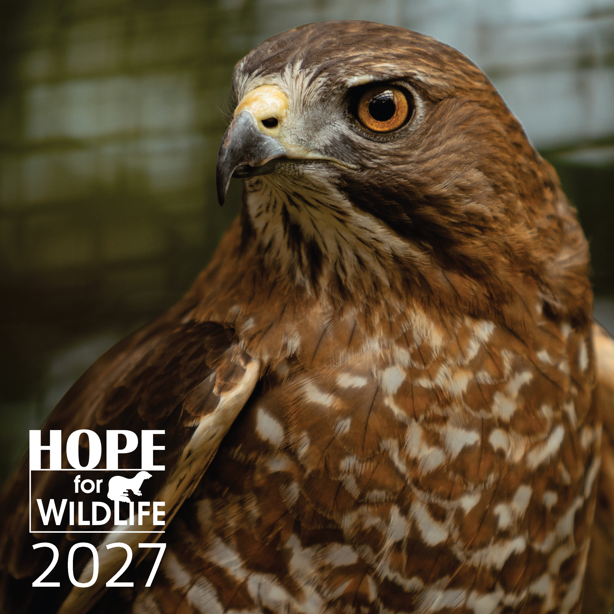 *NEW!* Hope for Wildlife 2027 Calendar