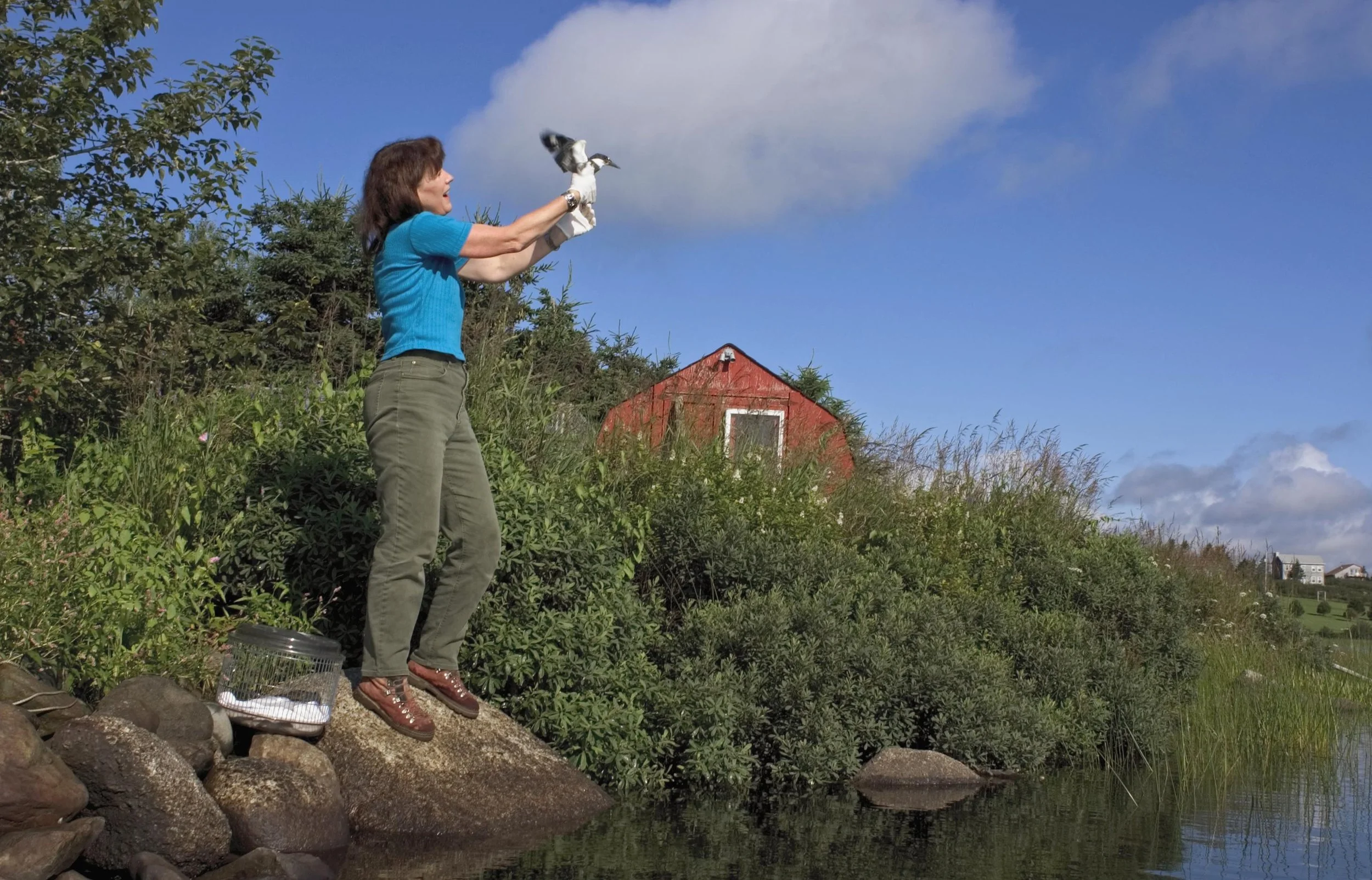 Enhancement Fund Submission — Hope For Wildlife