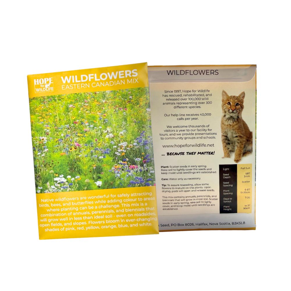 Wildlflower Seeds.png