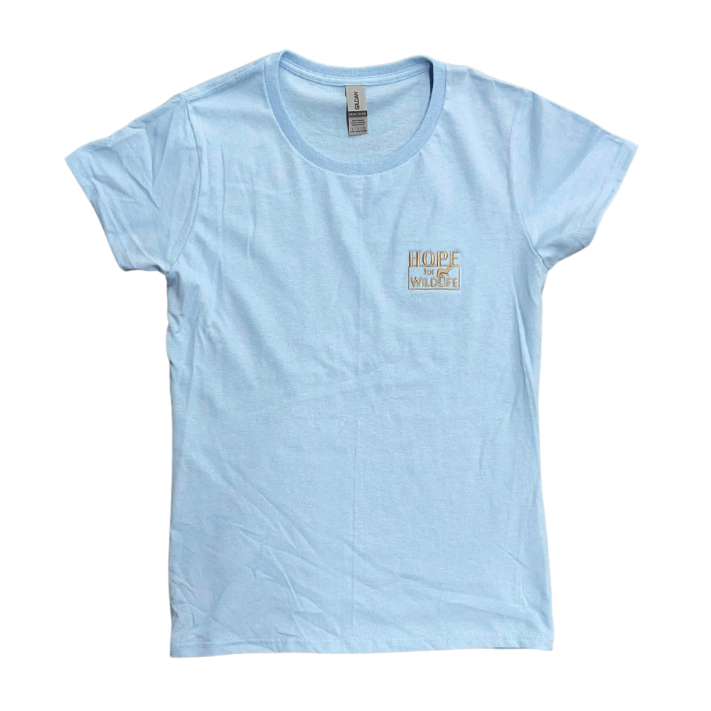 Ladies Oval Neck T-Shirt - Baby Blue.png