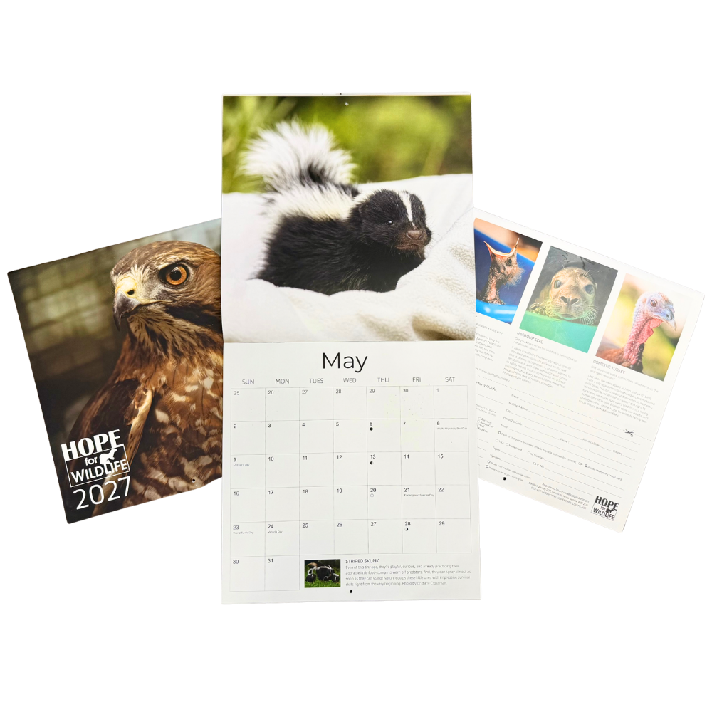 2027 Calendar.png