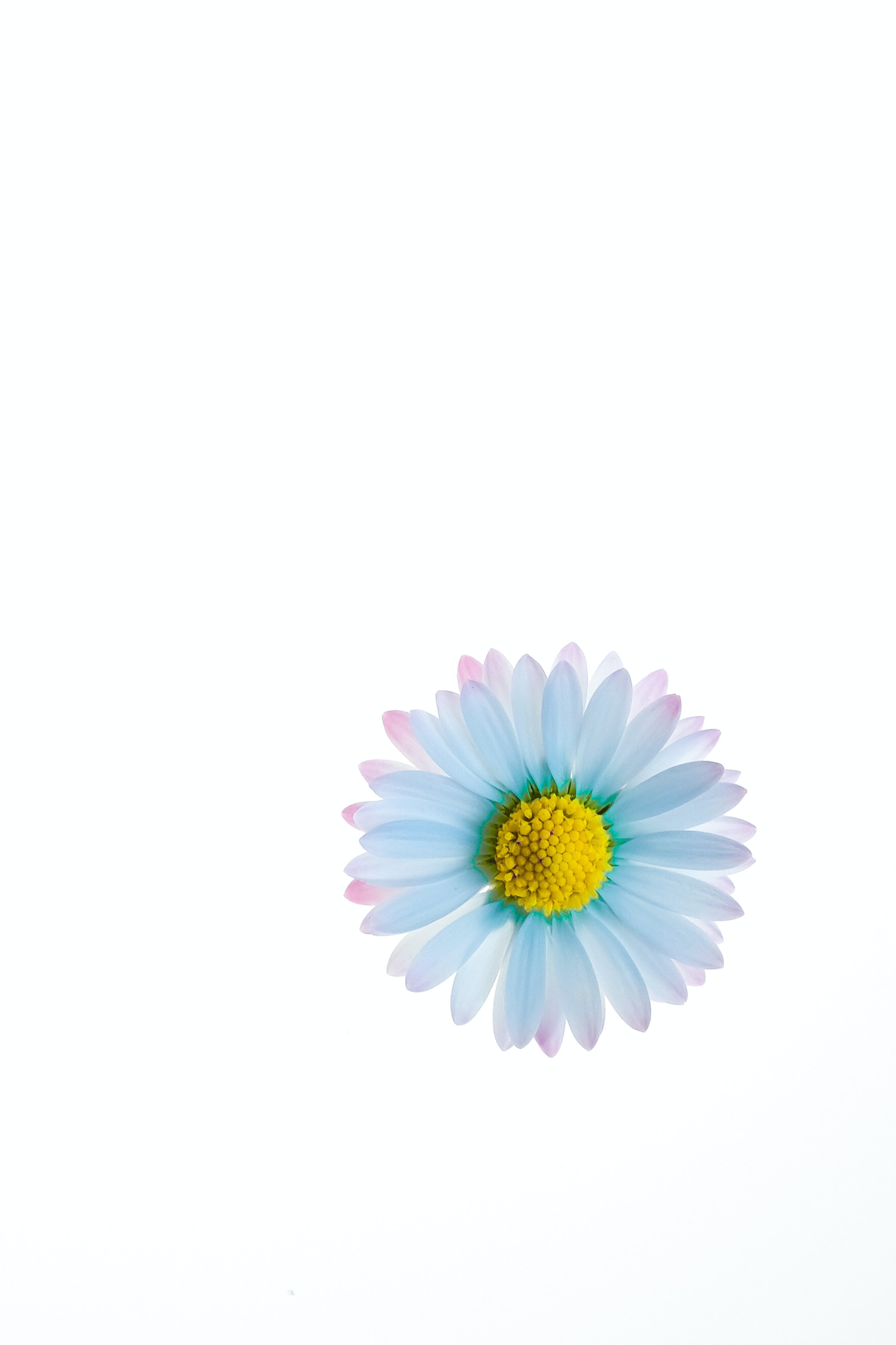 daniele-levis-pelusi-vpJRkw7p1SQ-unsplash.jpg