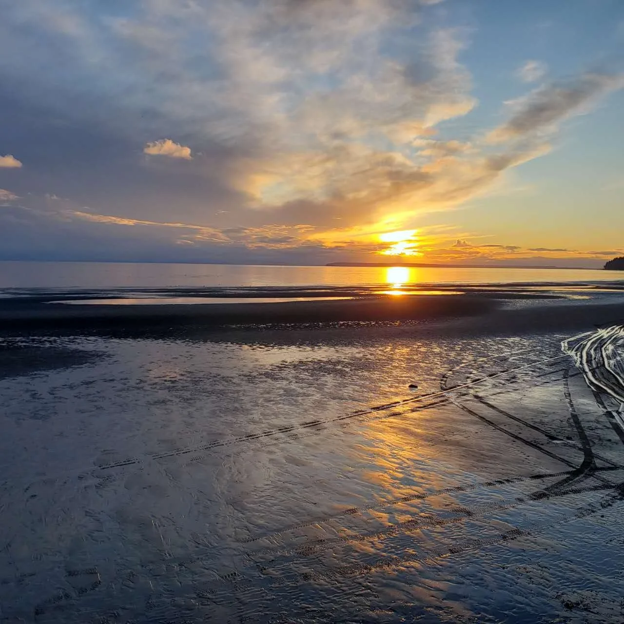 WeChat Image_20240424014546.jpg