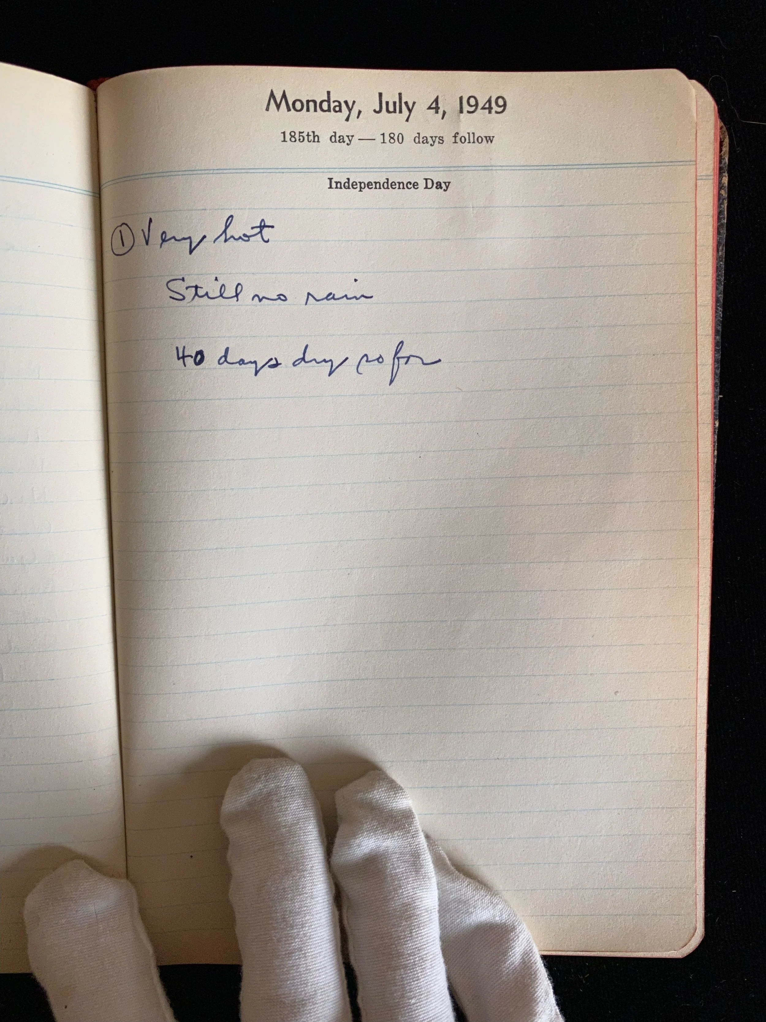 The Diaries of James Onorato — Coney Island Museum