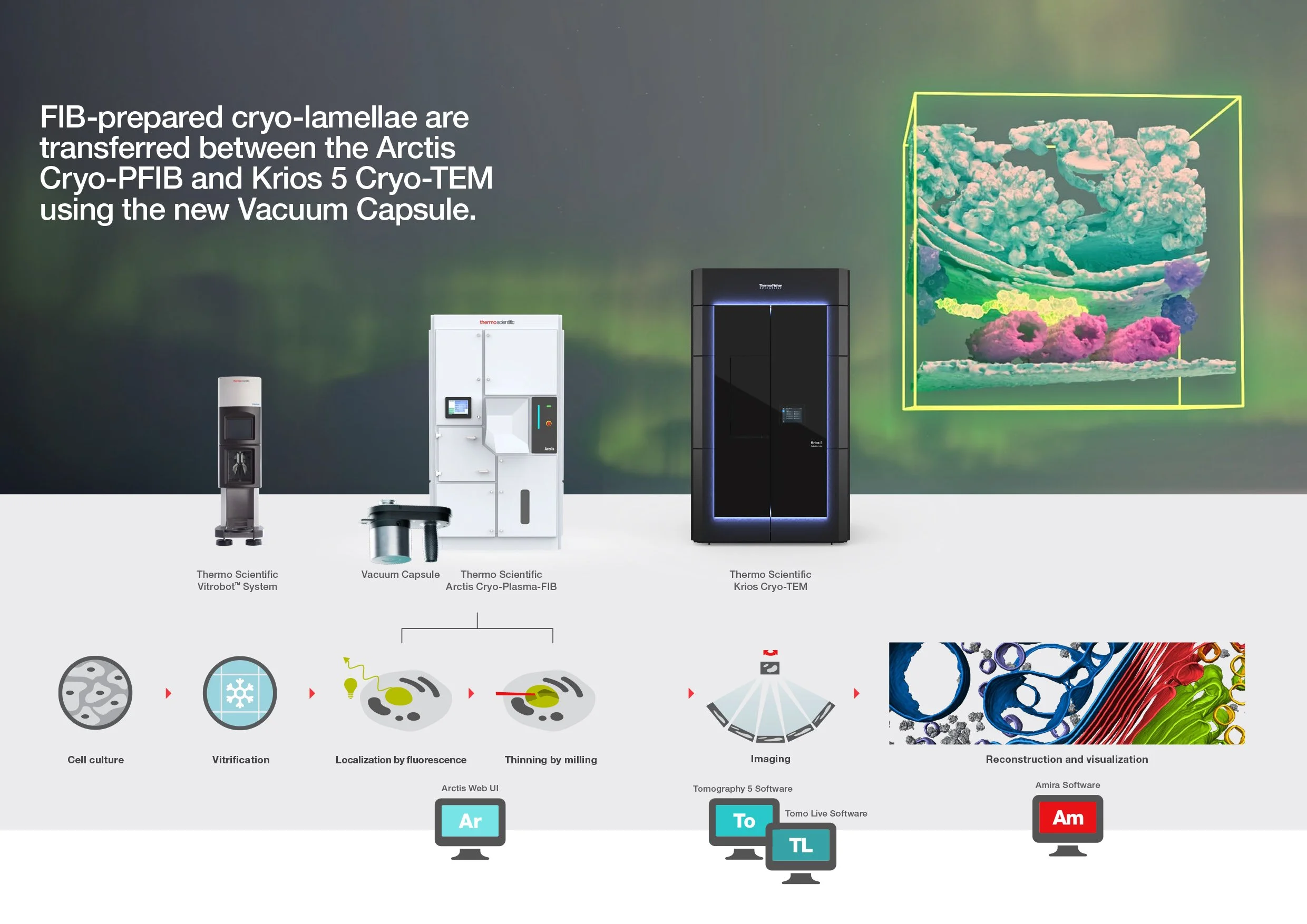 BR0197-EN-03-2025 Krios 5 Brochure_WEB-6.jpg