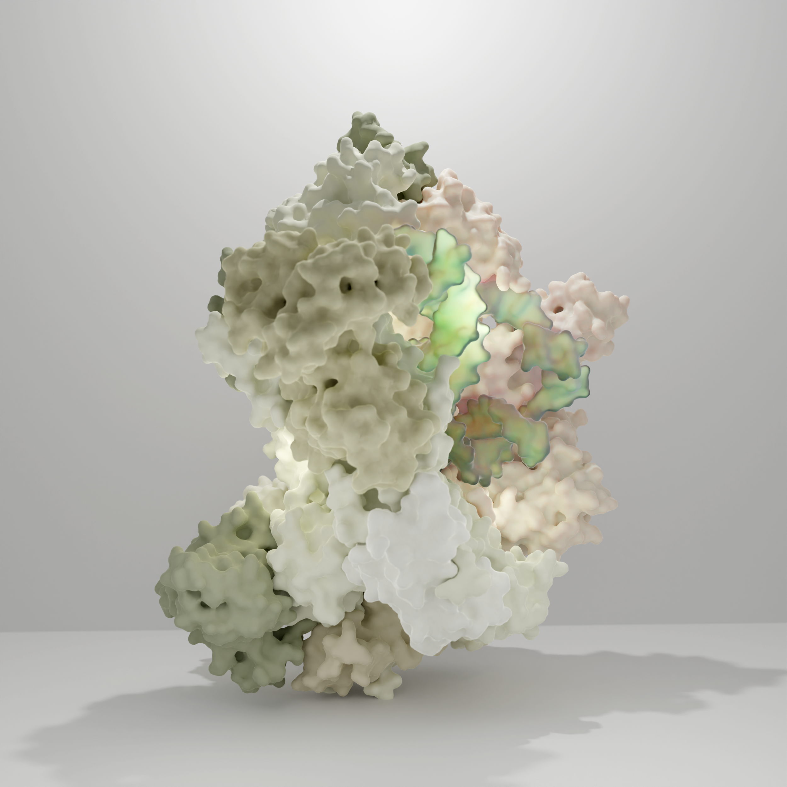 Cryo-EM structure of RNA polymerase V elongation complex from B. oleracea at 2.73 Å resolution. PDB ID: 8HIM