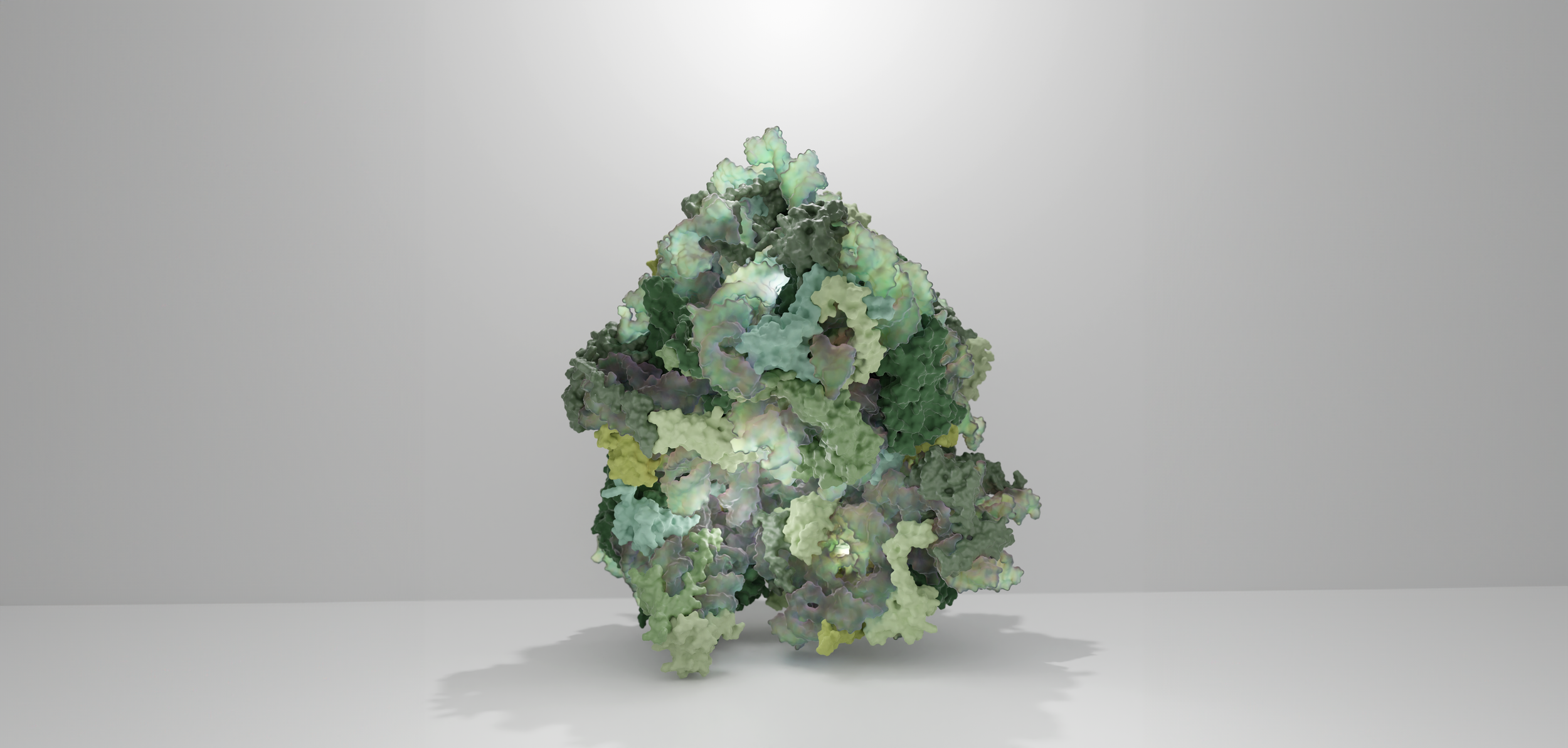 Cryo-EM structure of the tobacco plant 80S ribosome at 2.2 Å resolution.