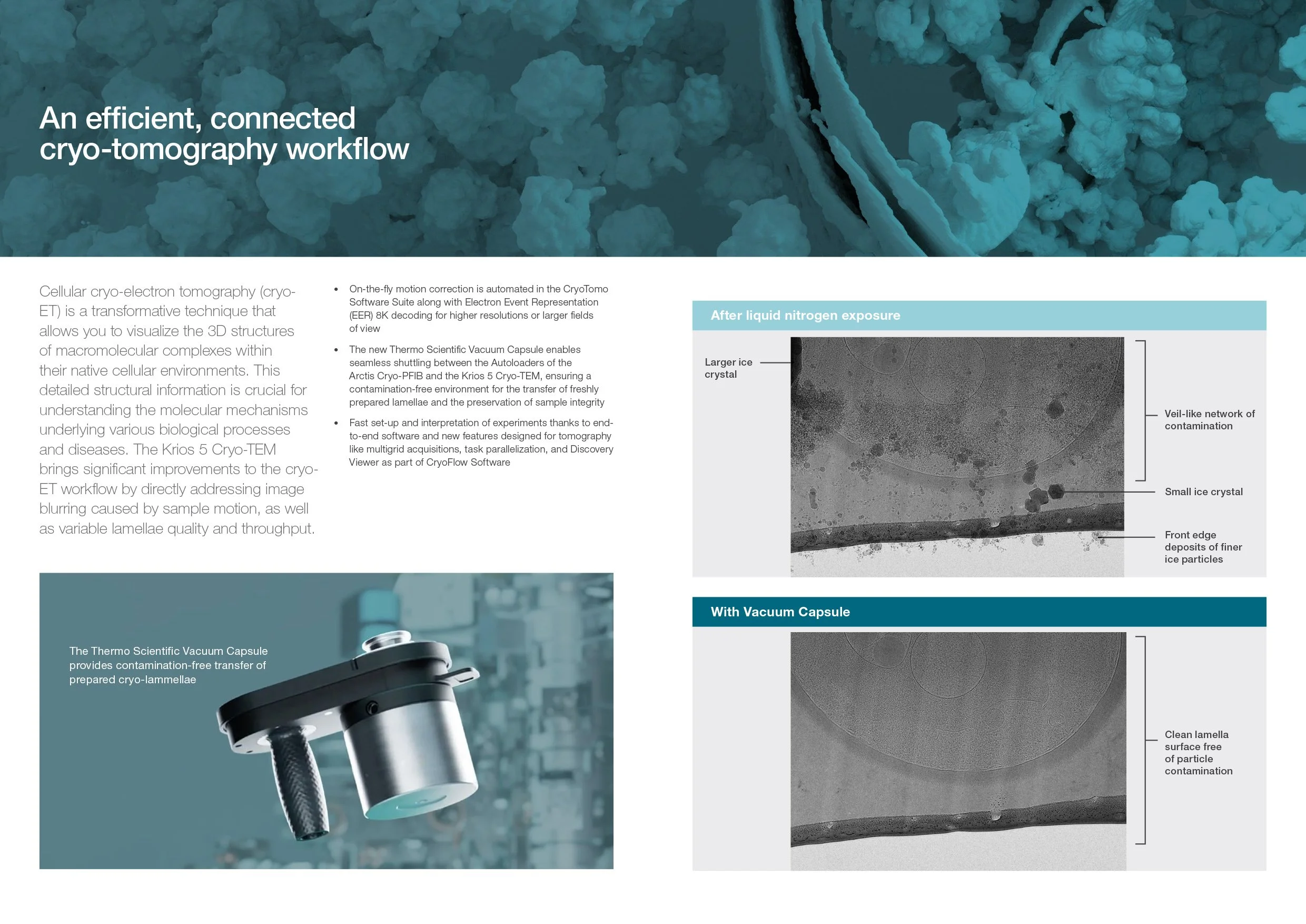 BR0197-EN-03-2025 Krios 5 Brochure_WEB-5.jpg