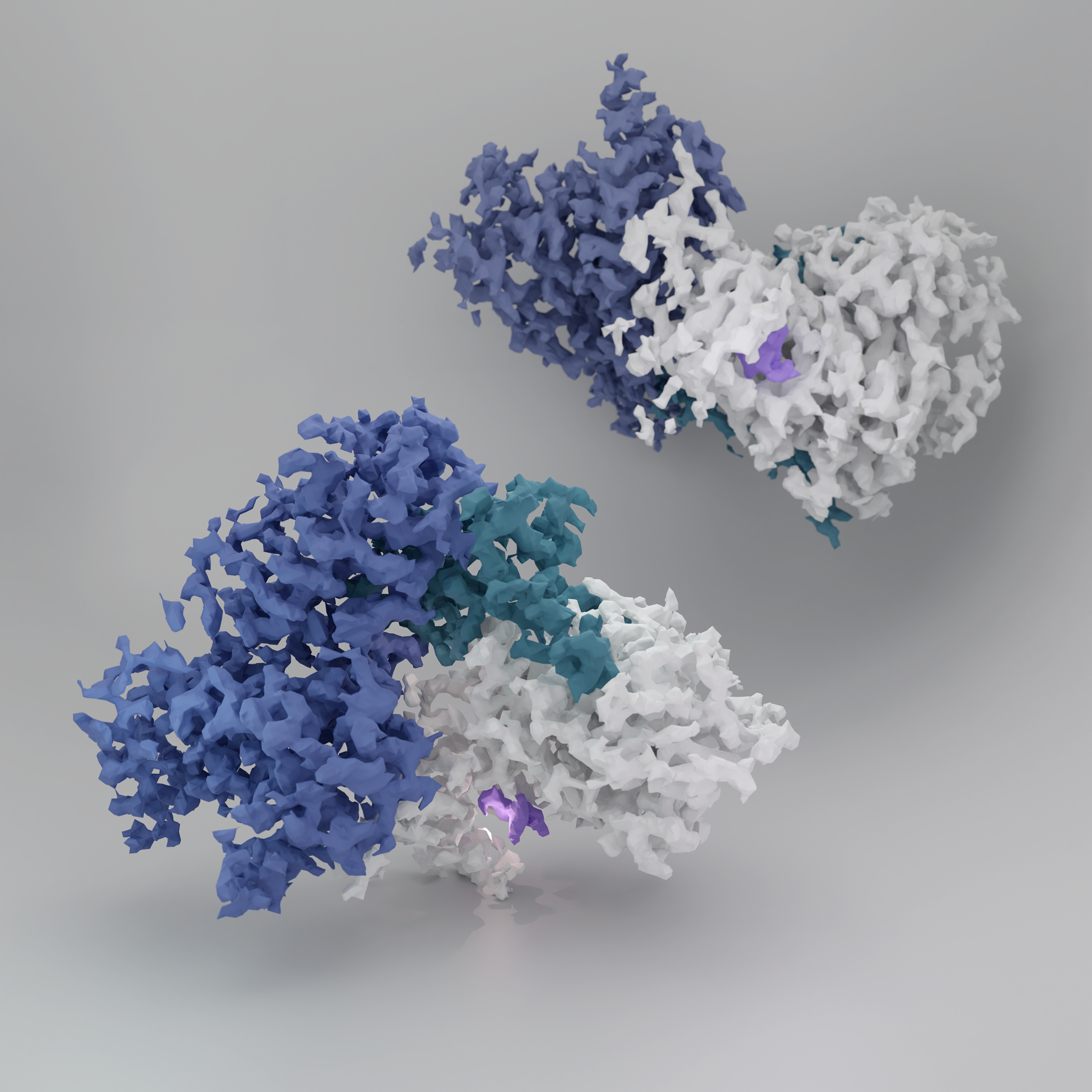 CDK-cyclin at 2.3 Å