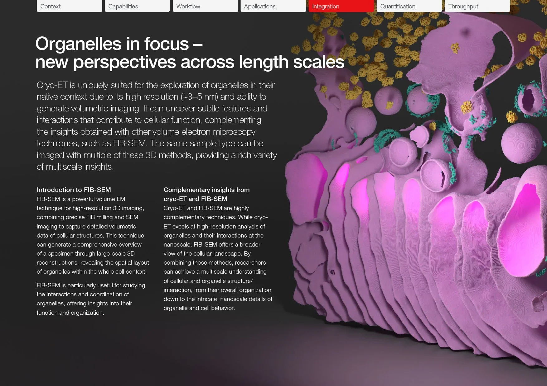 BR0219-EN-11-2025 Cells and organelles ebook_WEB-10 copy.jpg