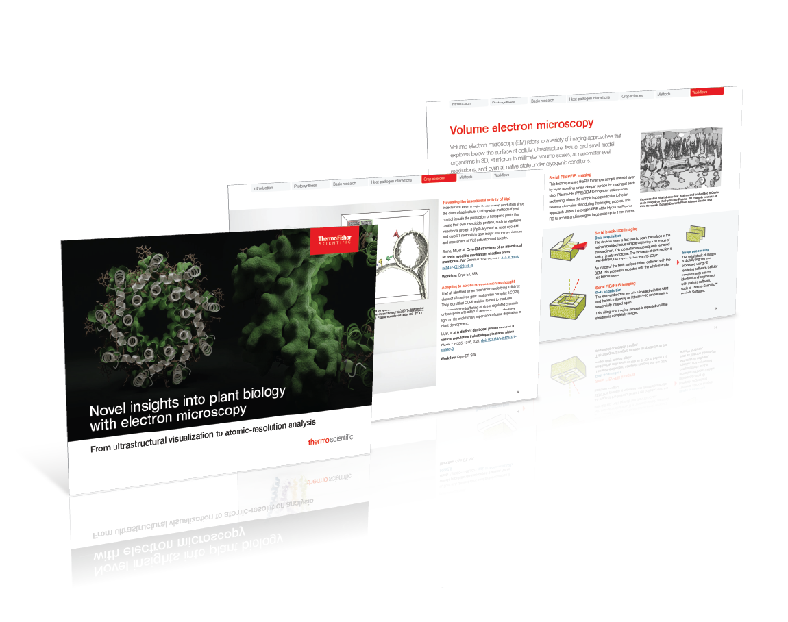 transparent-Brochure-Effect 3D-1024x1024.png
