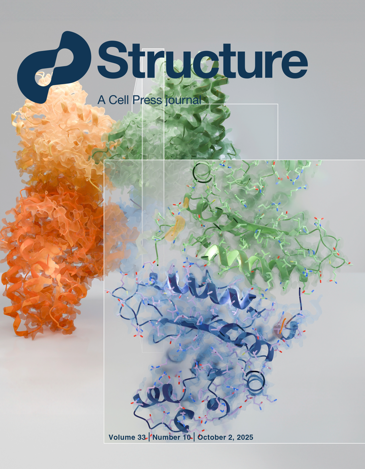 Cover of Structure Publication, aldolase imaged on the Tundra Cryo-TEM