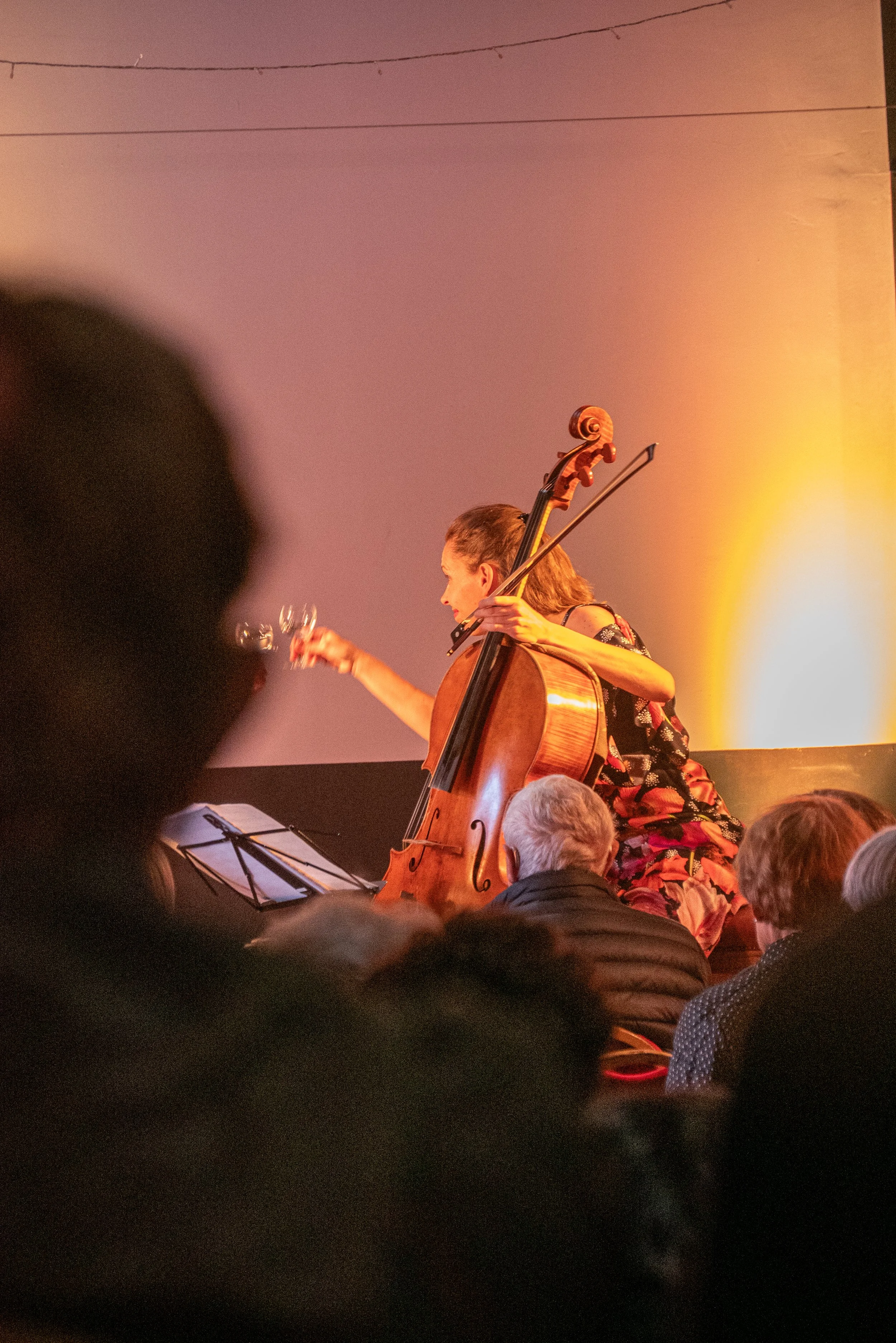 20250723-Festivalhirondelle - Concert_SaveursDuTerroir-RonjaSeytter_66.JPG