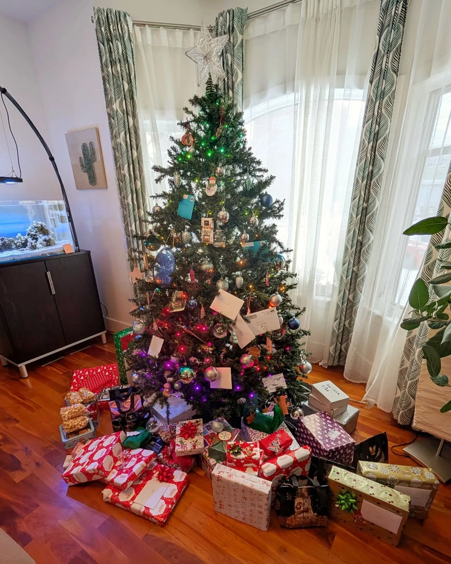 MERRY CHRISTMAS! 🎄🎅🎁☃️

This year was a little more hectic than normal (Yes, I was out shopping for last minute gifts on Christmas Eve! 😵&zwj;💫) but now that the gifts are opened and plates are clean, it's time to relax!

Wishing you and yours a