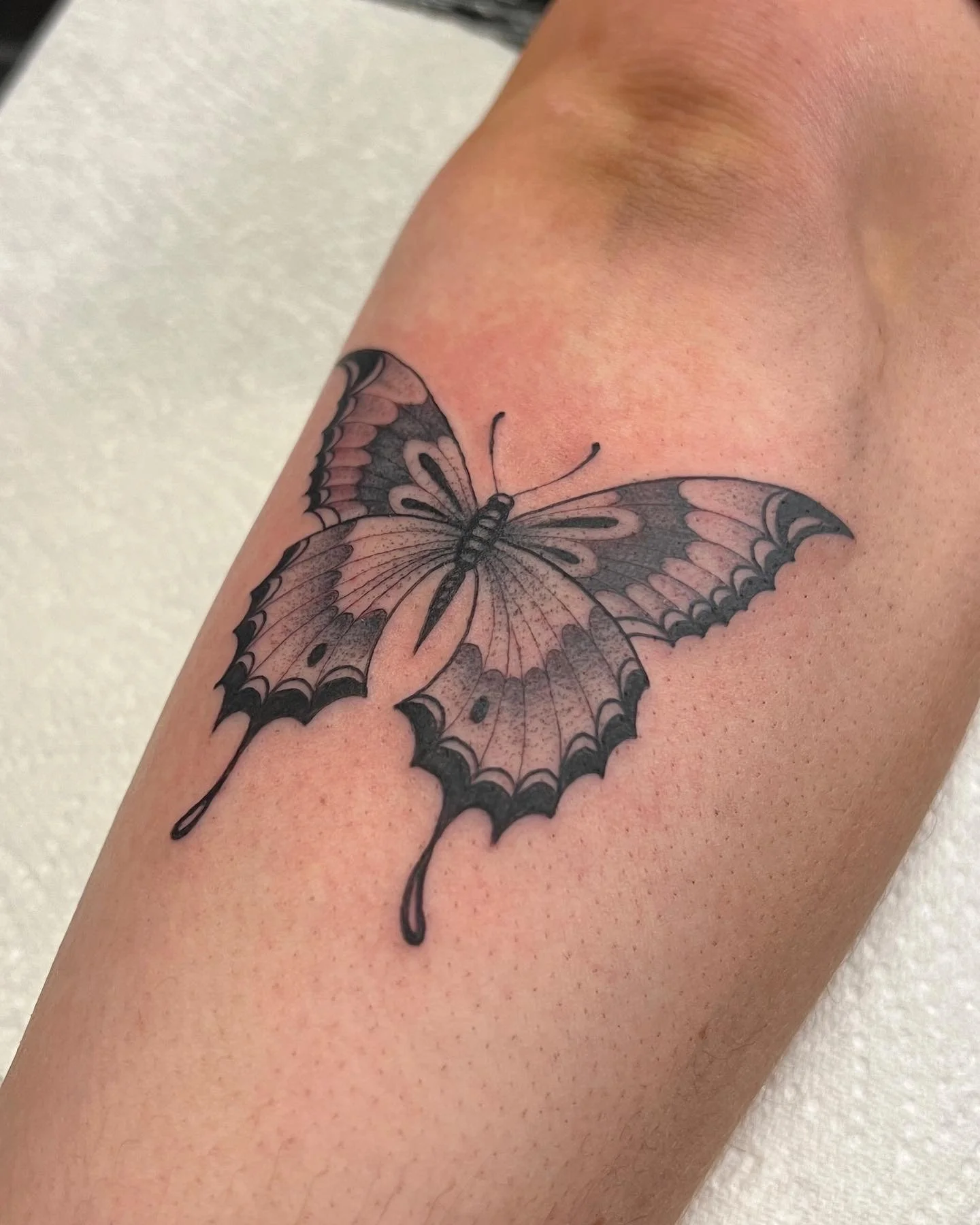 Fineline black and grey butterfly tattoo