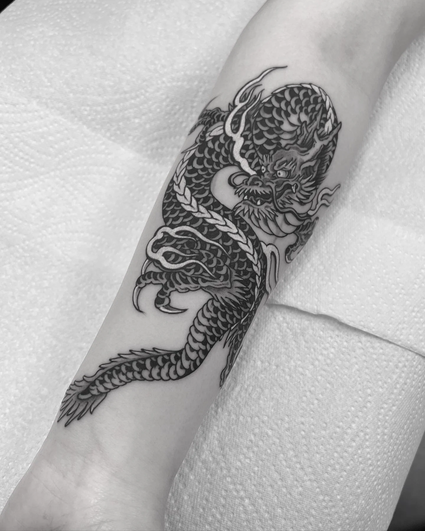 Fineline dragon tattoo black and grey