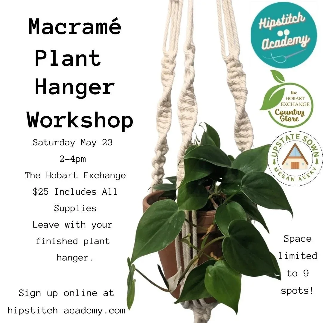 Macrame Plant Hanger Workshop