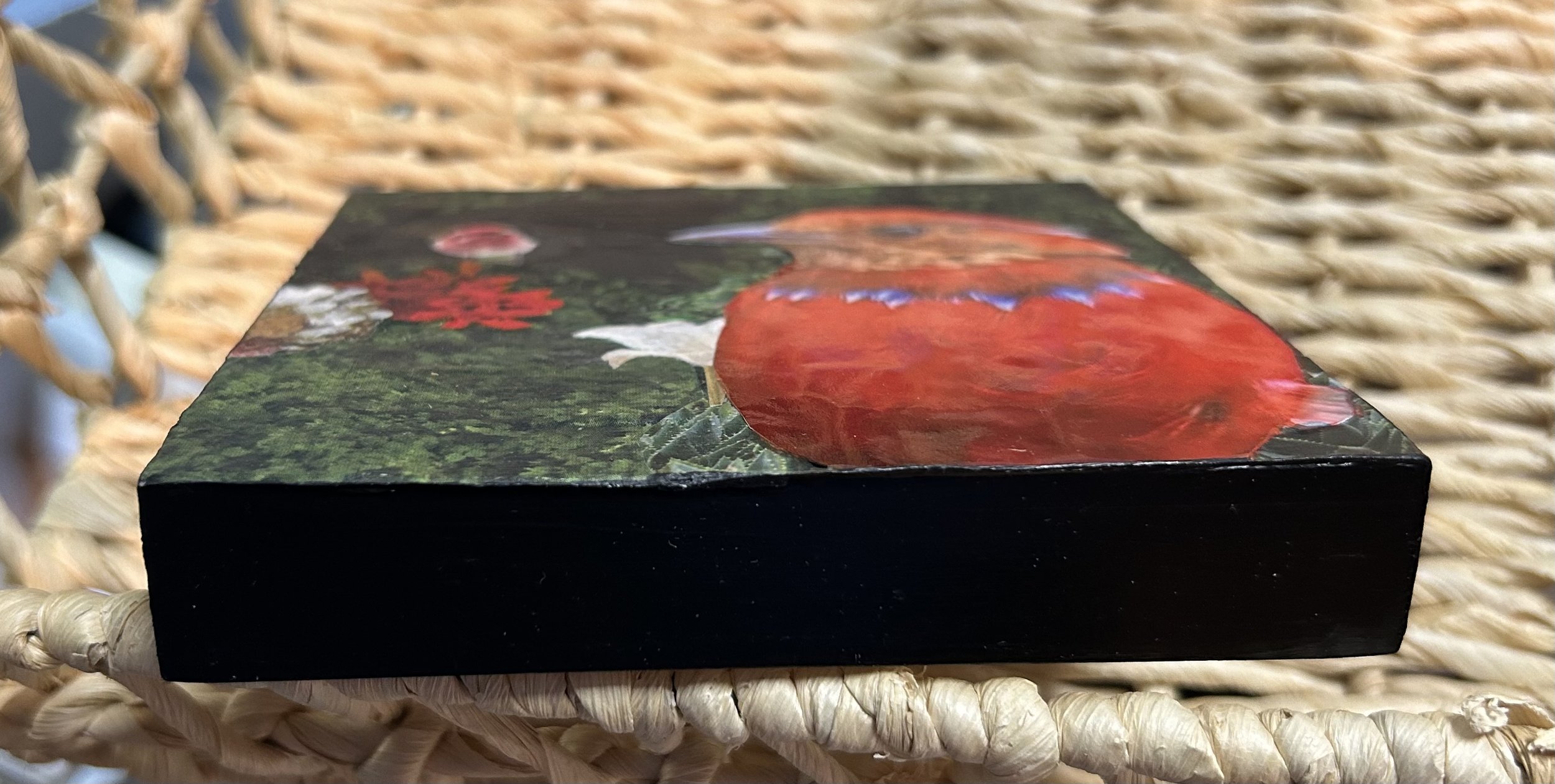 IMG_5288.jpeg