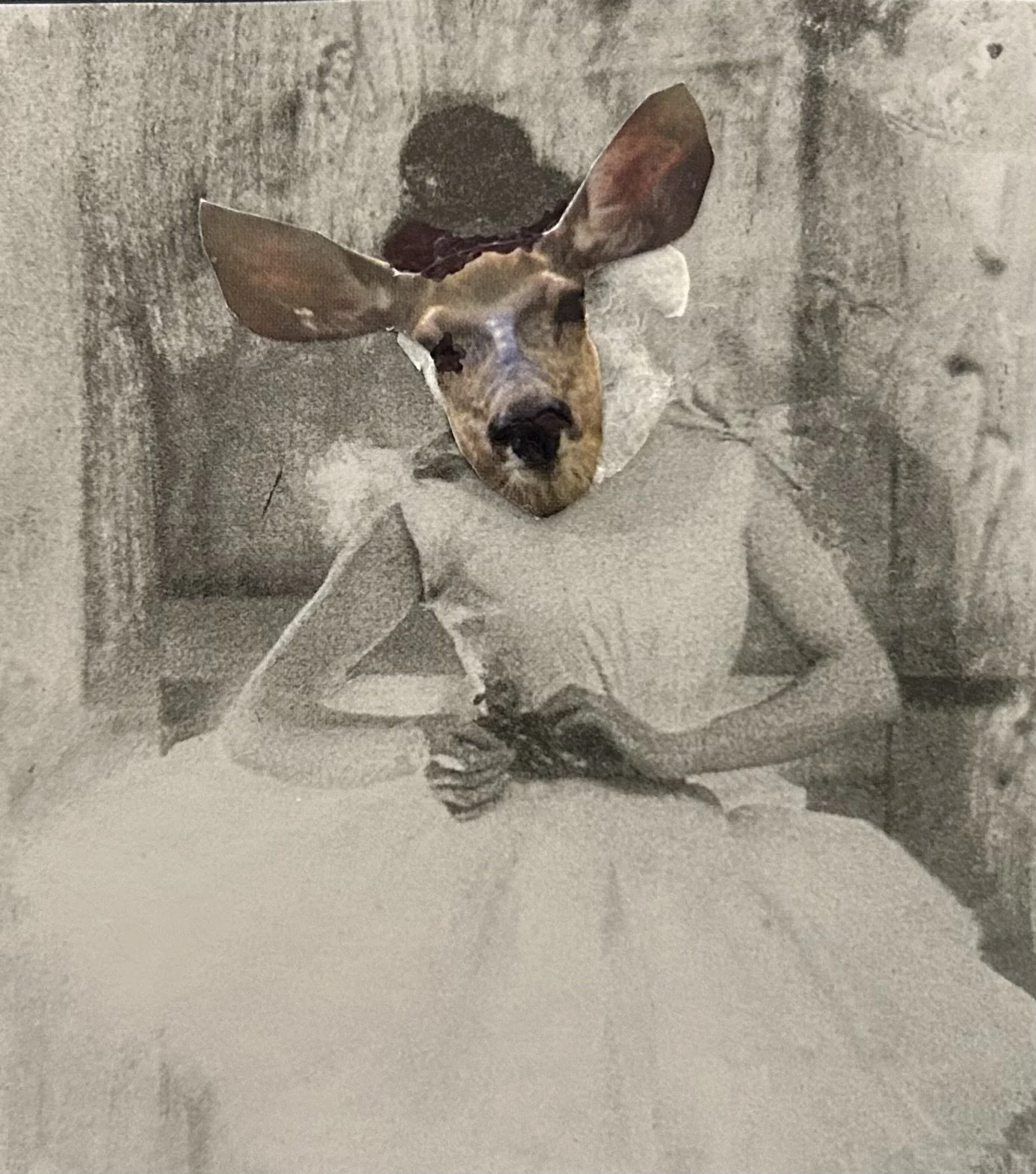 "Deer Dancer" 5 x 7 Greeting Card