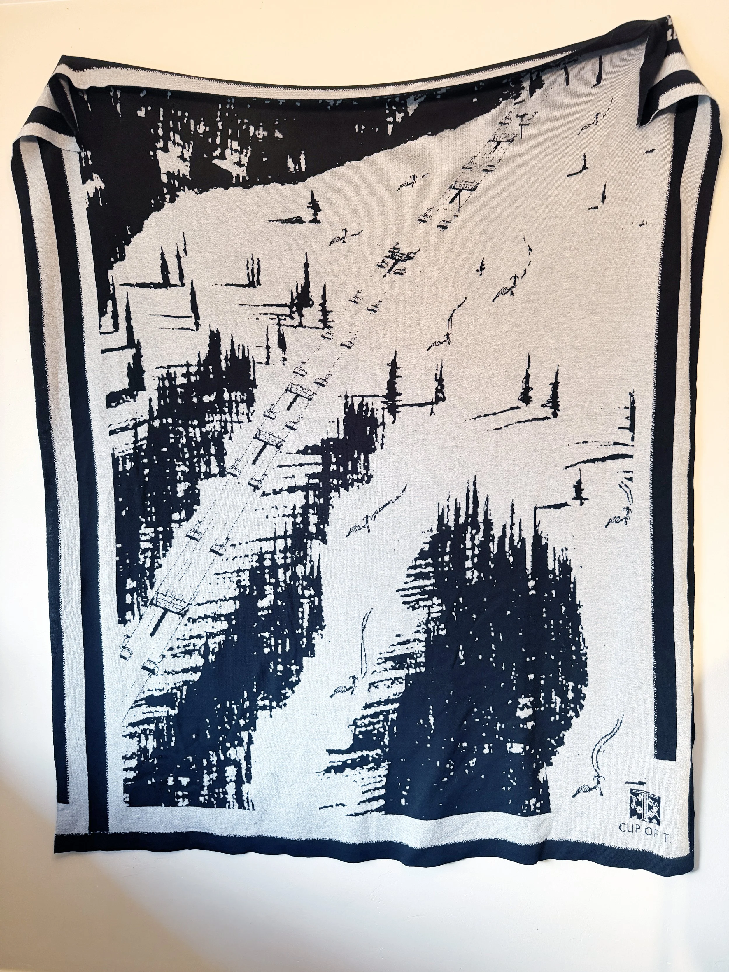 Big Burn Blanket.jpg