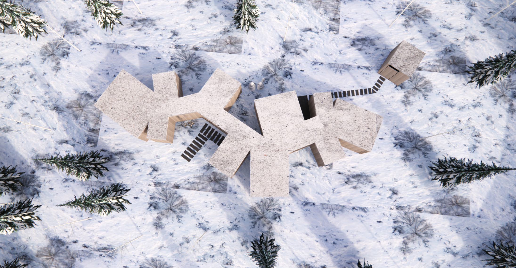 FLAKE CABIN TOP VIEW .png