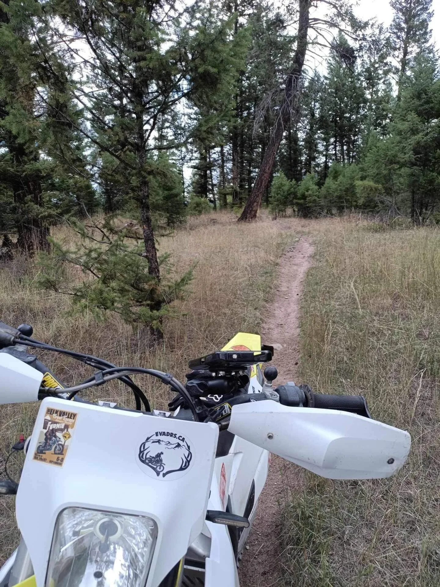 Fall riding is in full effect!!

The Dorr-Grasmere Motorized Trail Network aka Koocanusa Singletrack is riding really well, cool mornings &amp; evenings &amp; sunny days still. 

We&rsquo;ve seen a bit of an increase in users now the temps have dropp