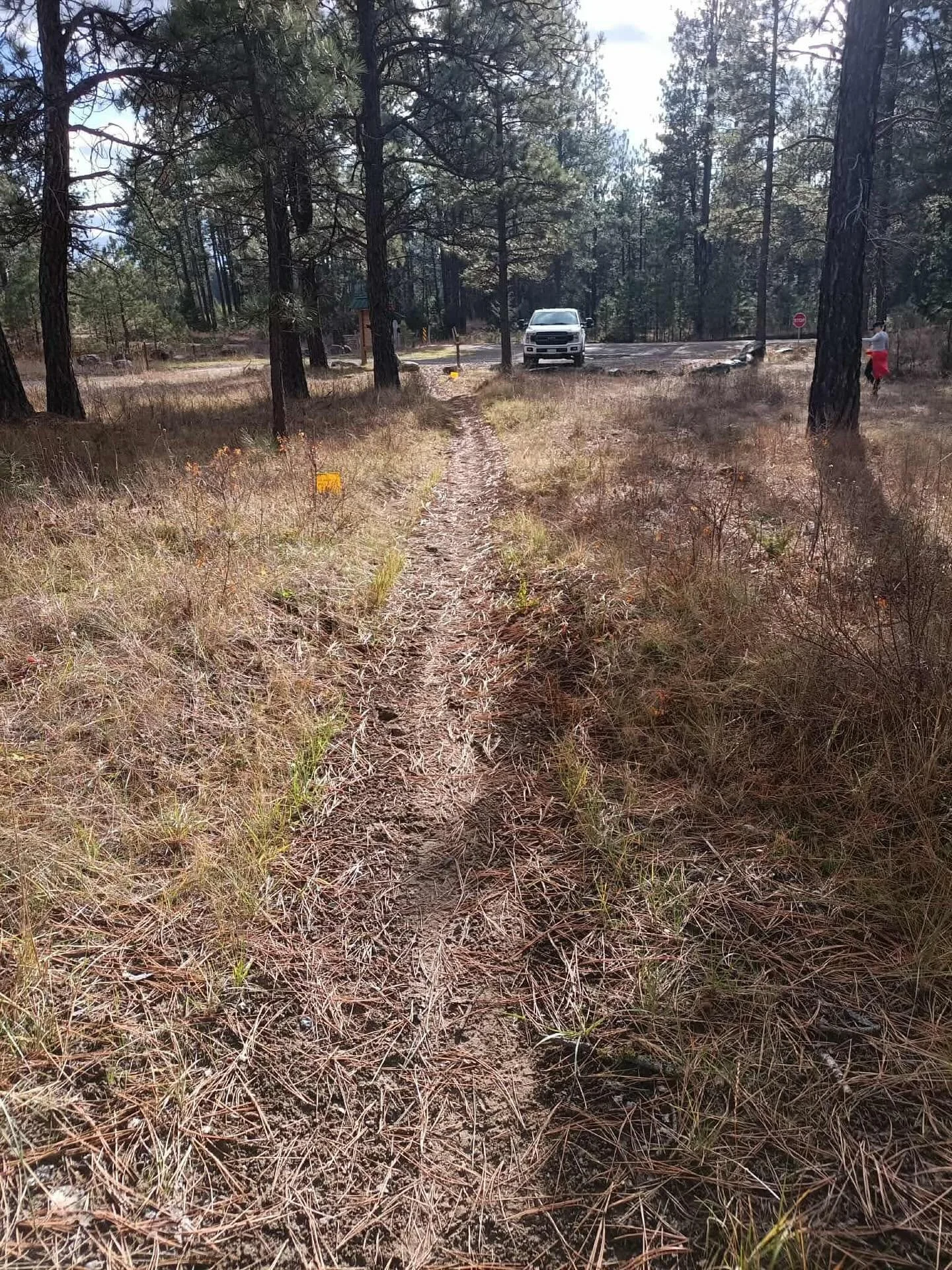 Took a quick scout down at Koocanusa. There&rsquo;s been lots of moisture down there &amp; it&rsquo;s still raining but the trails potentially could be quite nice if it lets up &amp; dries a bit&hellip;it could also be winter any day! ❄️ 🌧️ 

Any ad