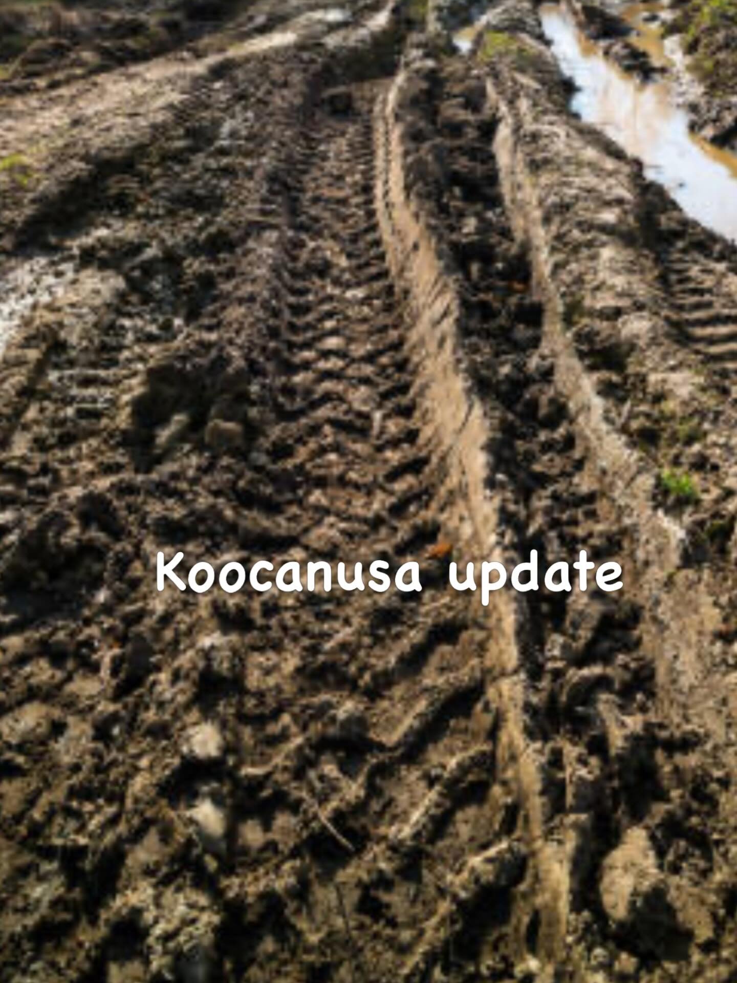 We really hoped for some drier weather but the Dorr - Grasmere Motorized Trail Network has received a significant amount of rain again. The area has lots of standing water still and the trails can easily be damaged and braiding as a result. 

We ask 