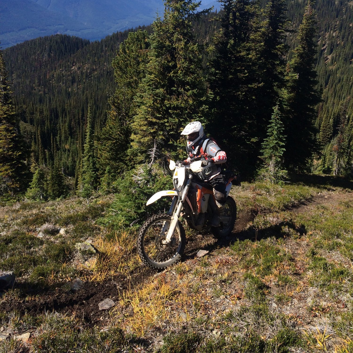 National Forest Single Track Motorcycle Trails Near Me Single