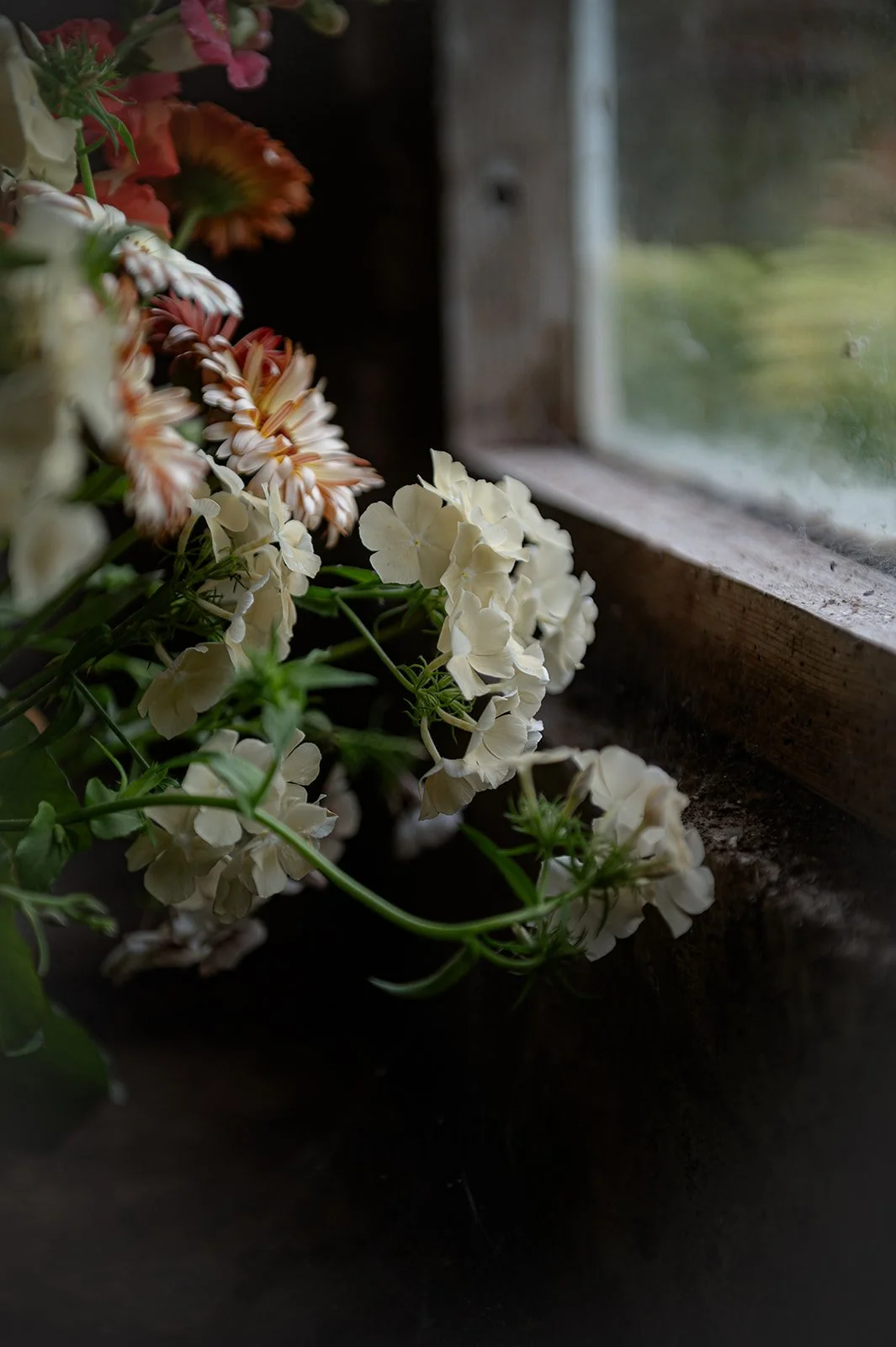 Close-up of white and orange flowers inside a rustic wooden window frame.
