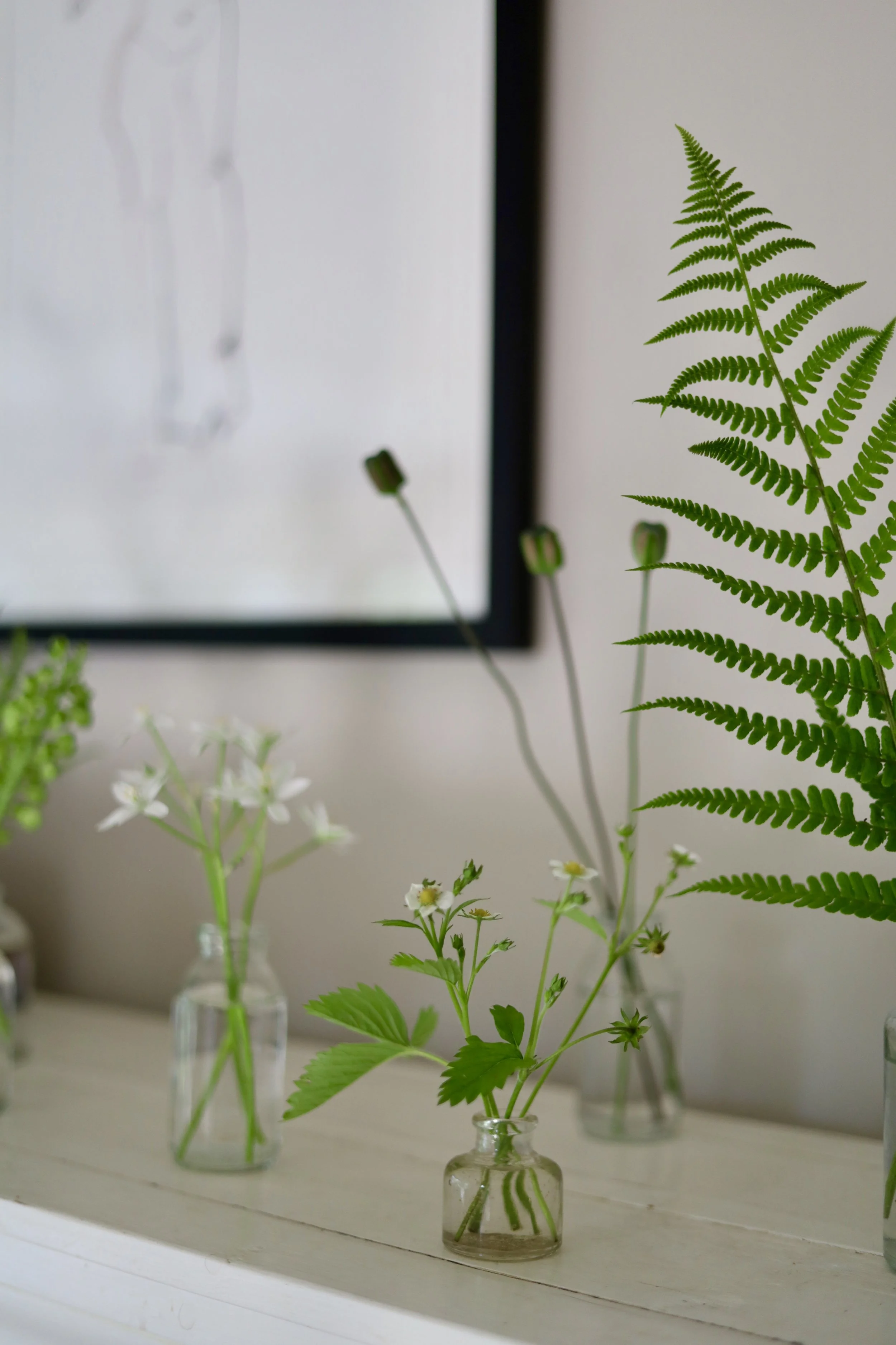 Multiple small glass vases with green plants, including fern and white flowers, arranged on a white shelf, with a white wall and a black-framed mirror in the background.