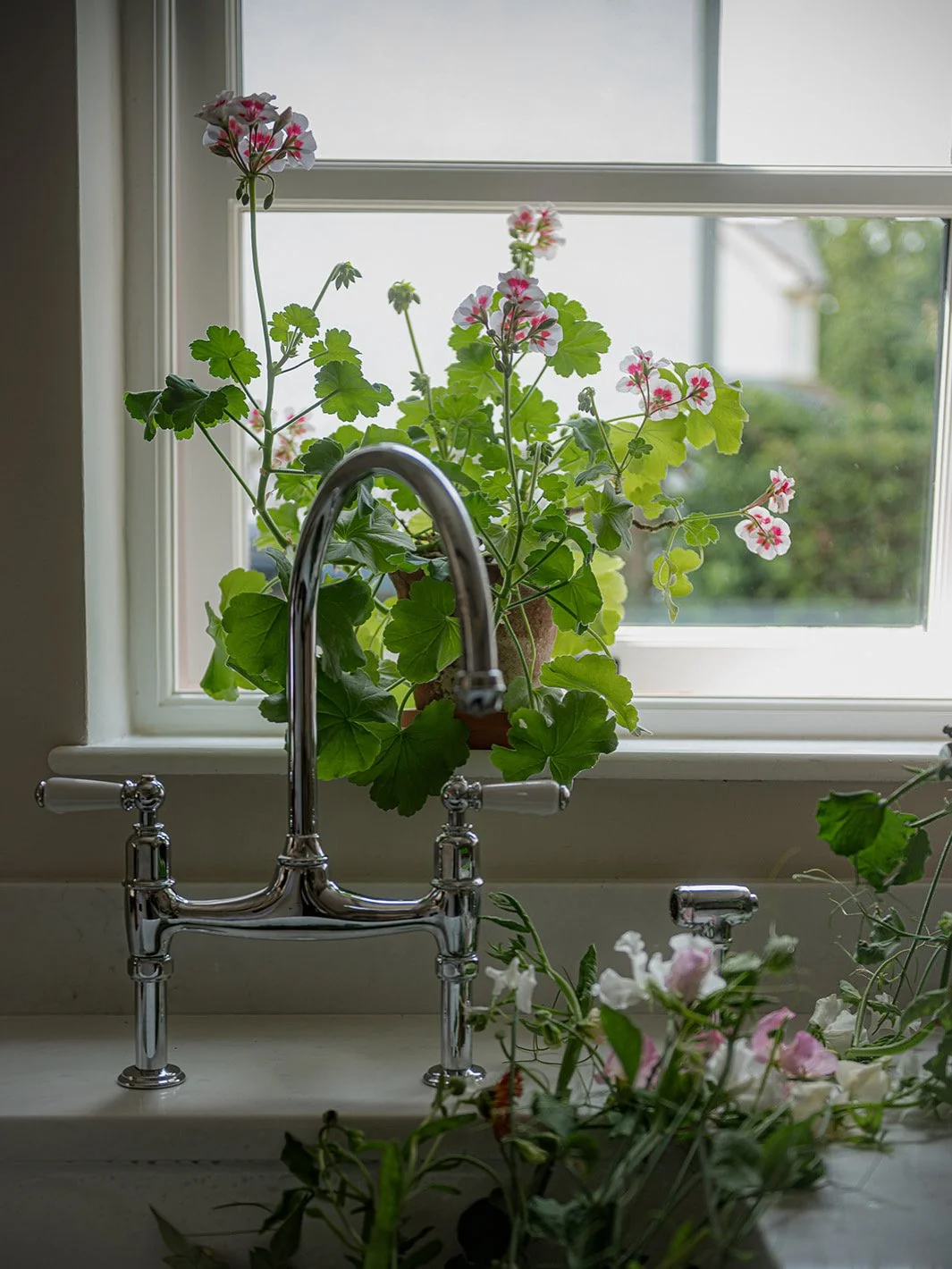 A kitchen faucet above a sink with a potted plant on the windowsill, overlooking a garden outside.
