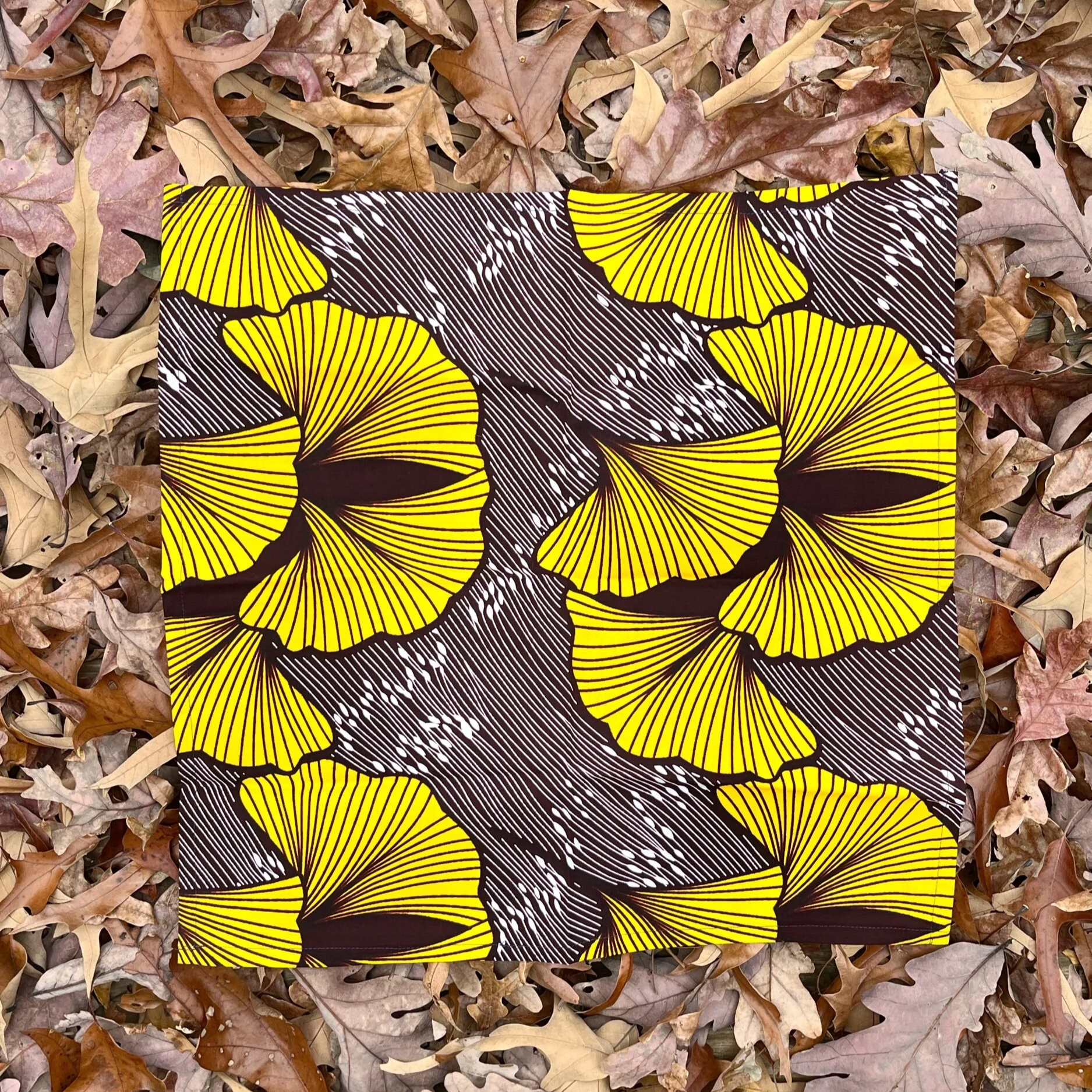 18DEE0CA-4CFC-412B-B2D8-0C8ECCE35D6D