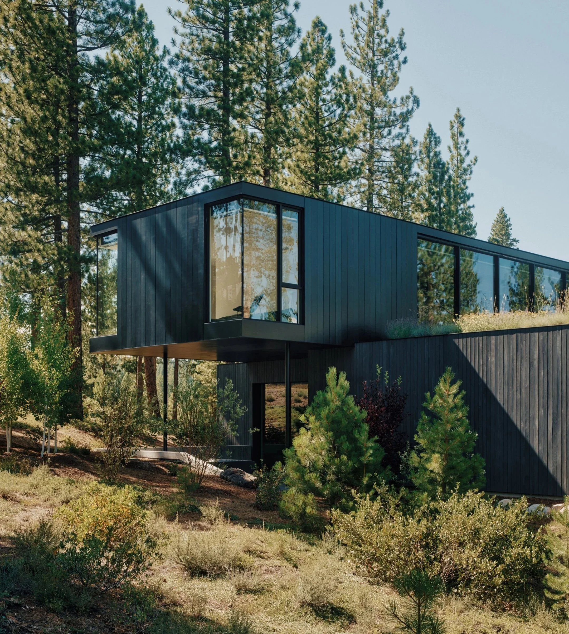 Feature in The Local Project