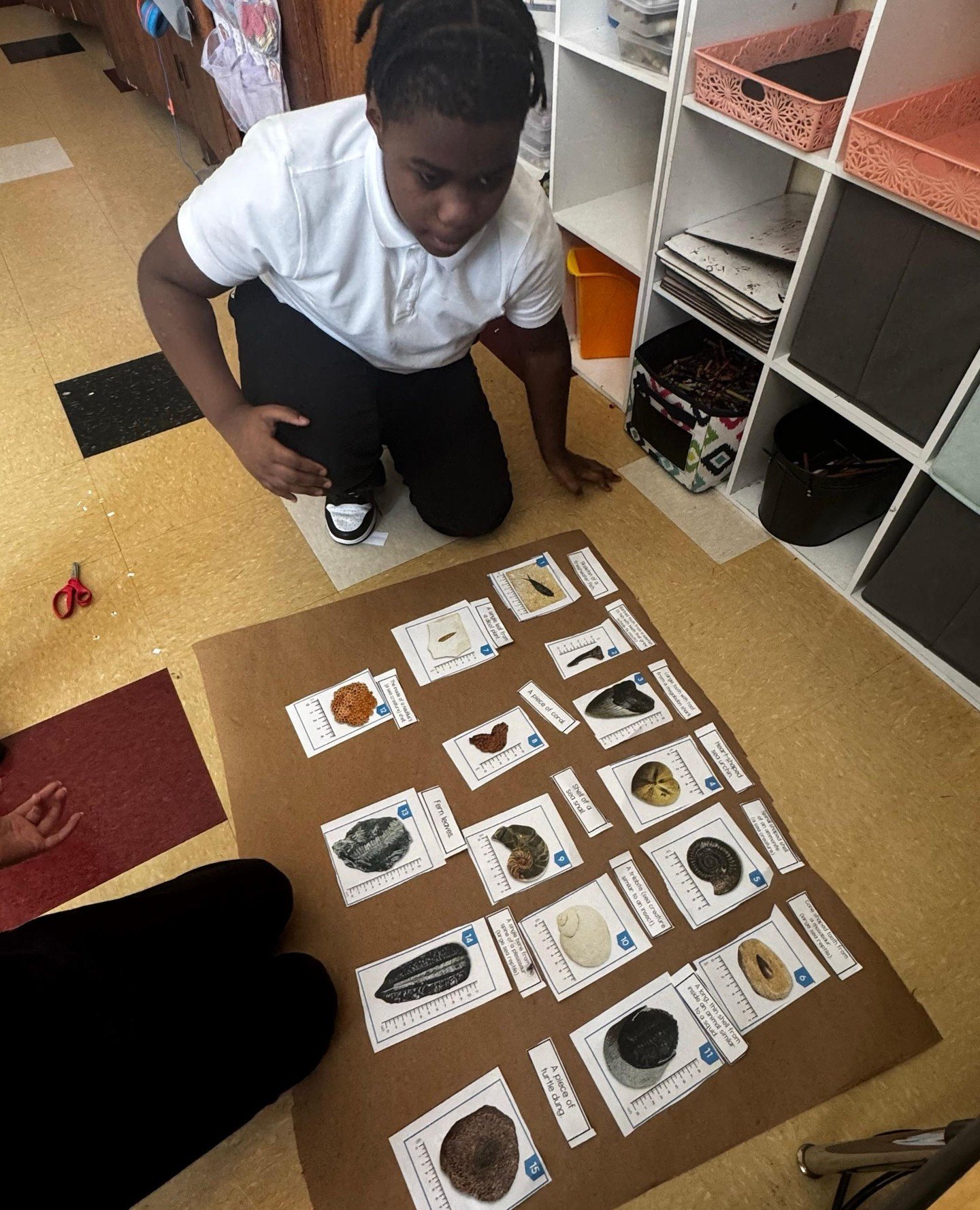 4th grade STEAM in action! 🔬✨⁠
⁠
Today, our scholars worked on sorting and examining fossil pictures, then matching them to the correct organisms. They put their critical thinking skills to the test and had so much fun digging into the past! 🦴🦖