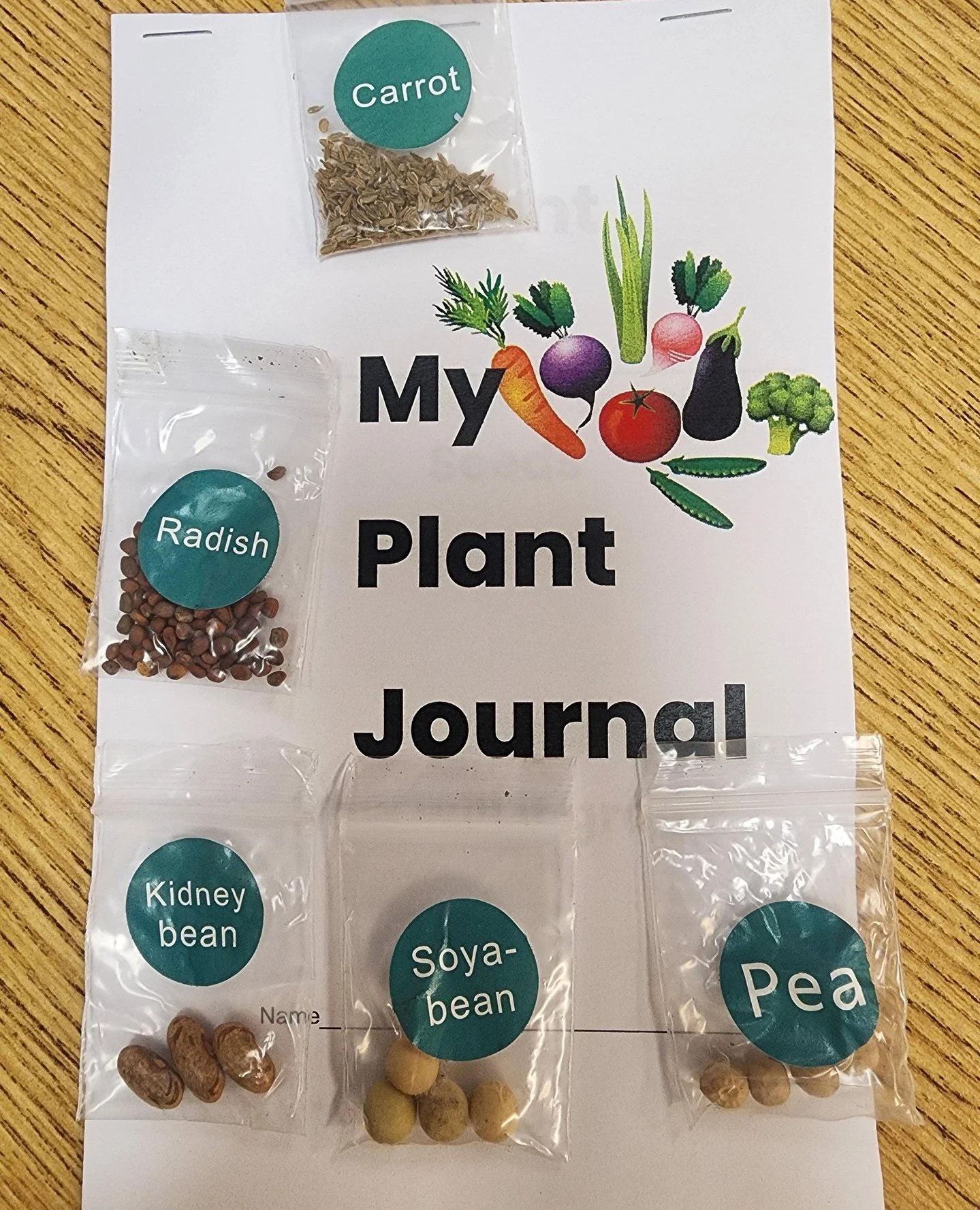 Kindergarten is working hard with their Spring STEAM project: planting vegetables! We looked closely at the seeds &amp; predicted how they will grow. Over the next few weeks: we will write down our observations in our Plant Journals. We even played a