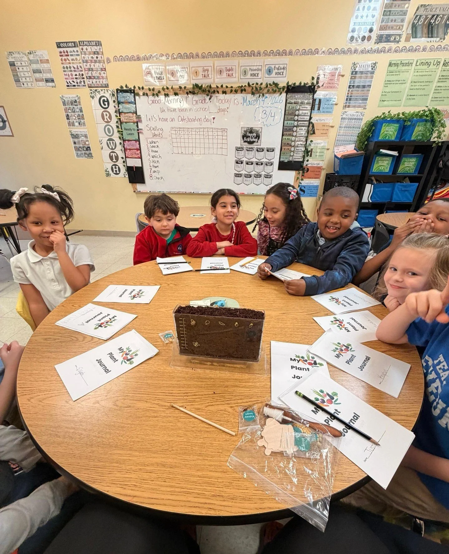 🌱🦋 Our classroom is full of life!⁠
⁠
Our first graders have been busy learning all about life cycles by growing vegetables and raising butterflies right in the classroom. From caring for our plants to watching caterpillars grow and change, students