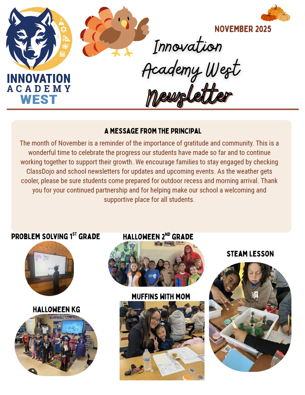 Newsletter - November 2025