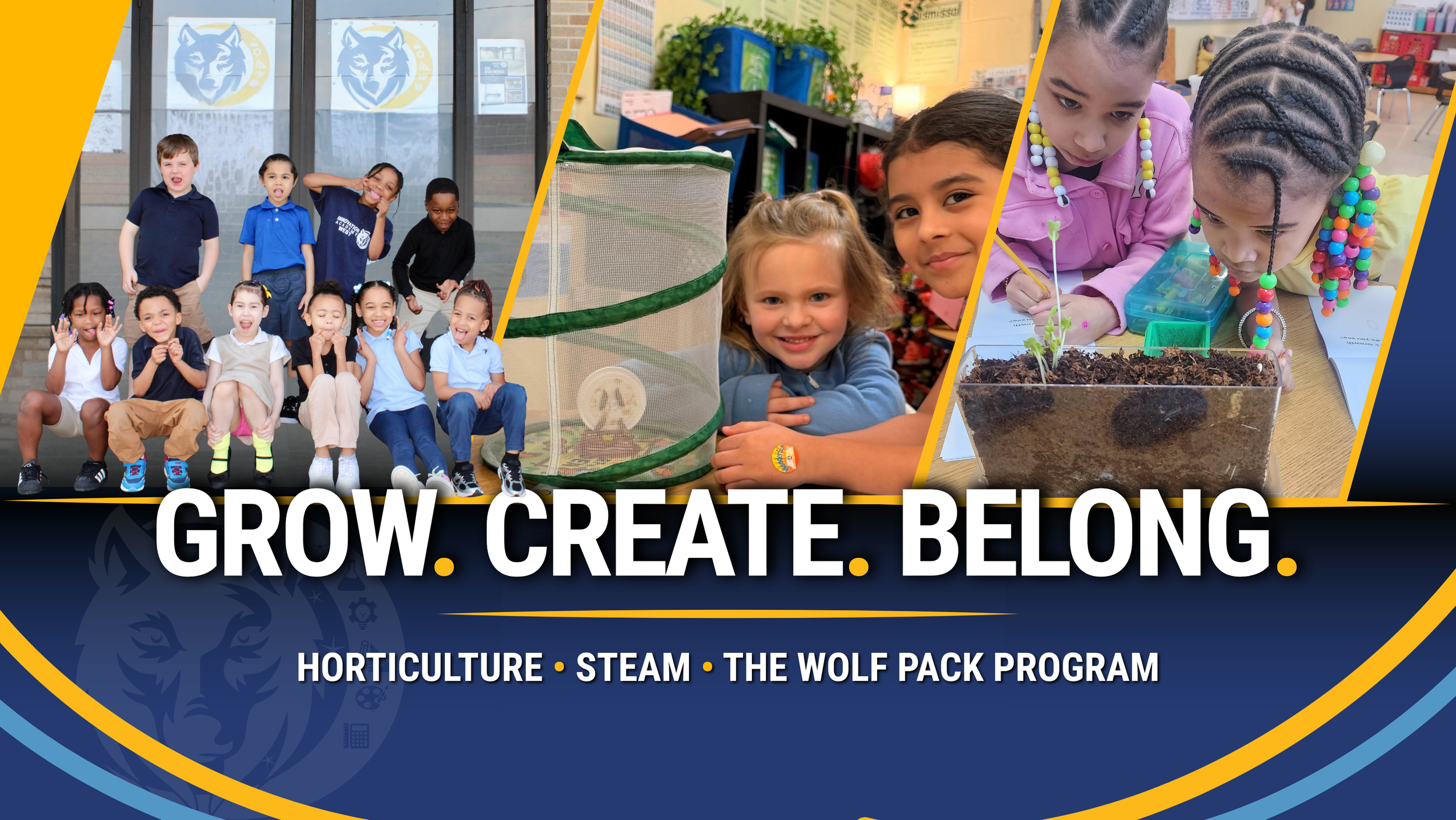 iaw website banner-3.png