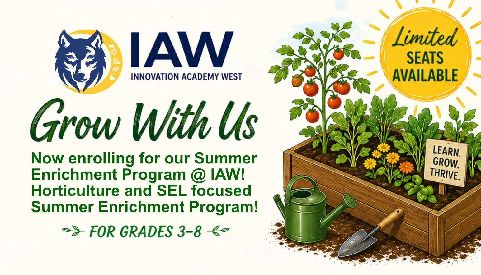 IAW summer program web-banner-3.jpg