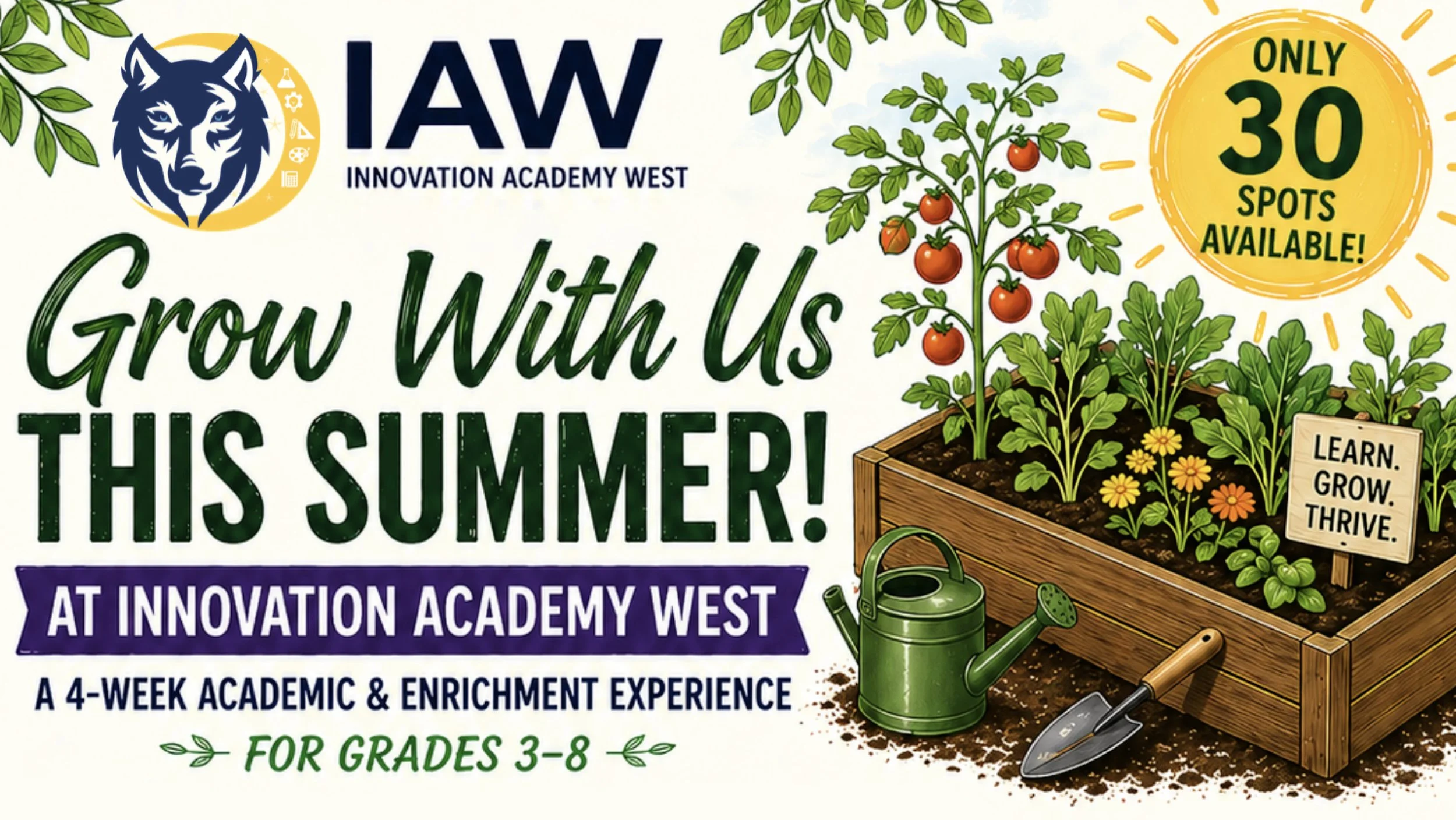 summer-program-2026.jpg