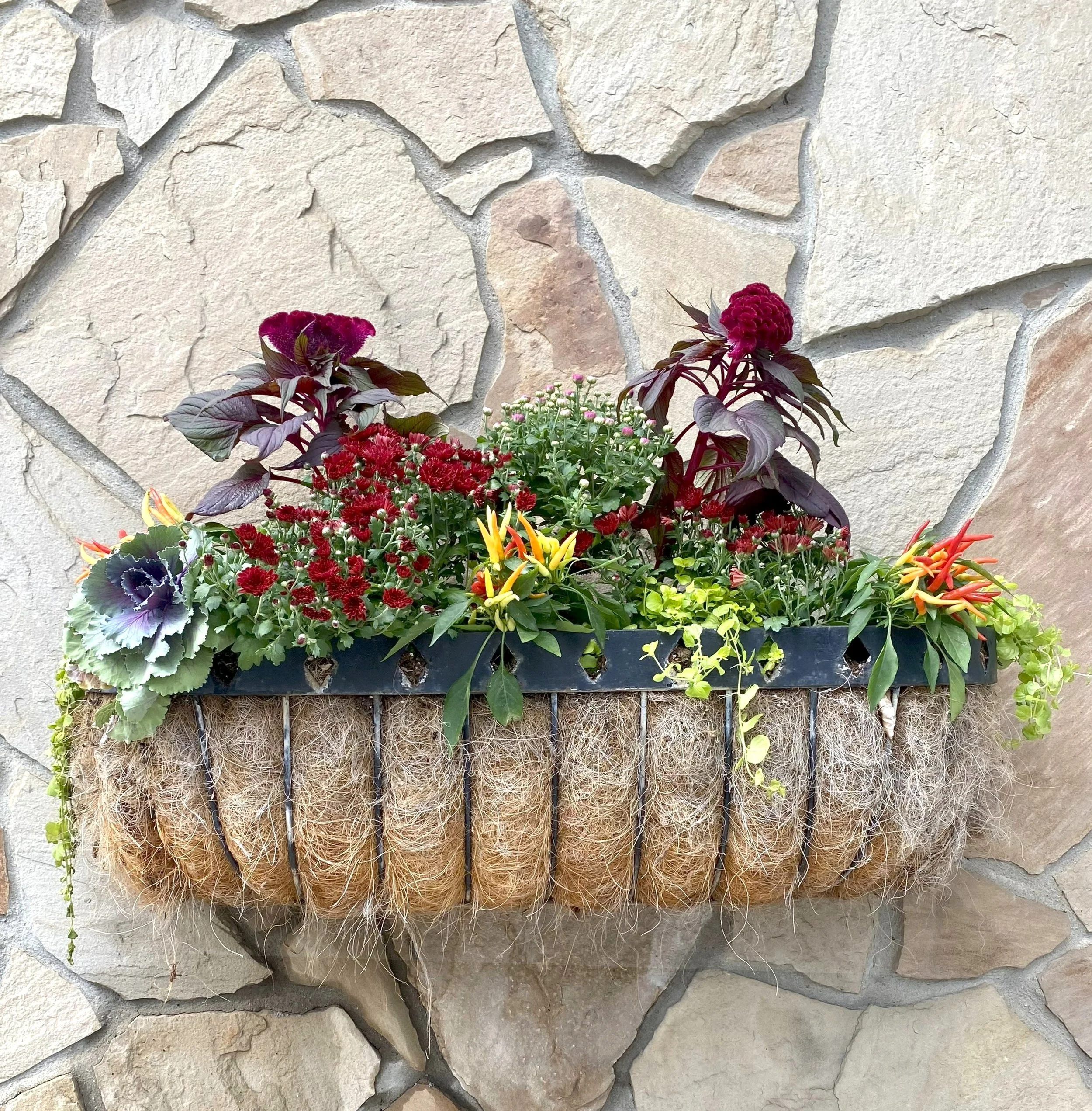 Fall Planters Eden Designscapes.jpg