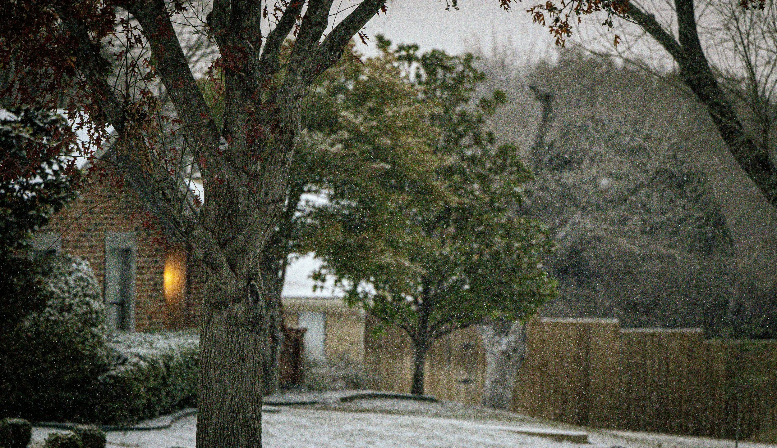 Why Winter is the Perfect Time for Landscape Design
