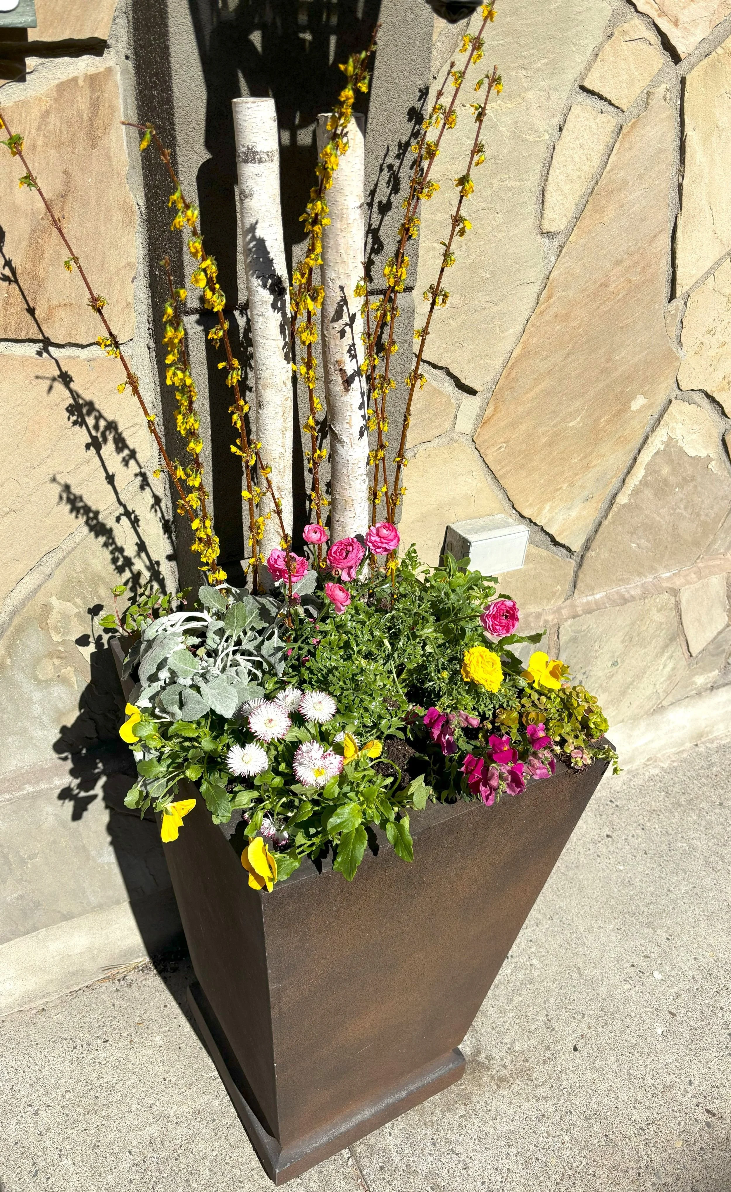 Spring Planters Eden Designscapes.jpg