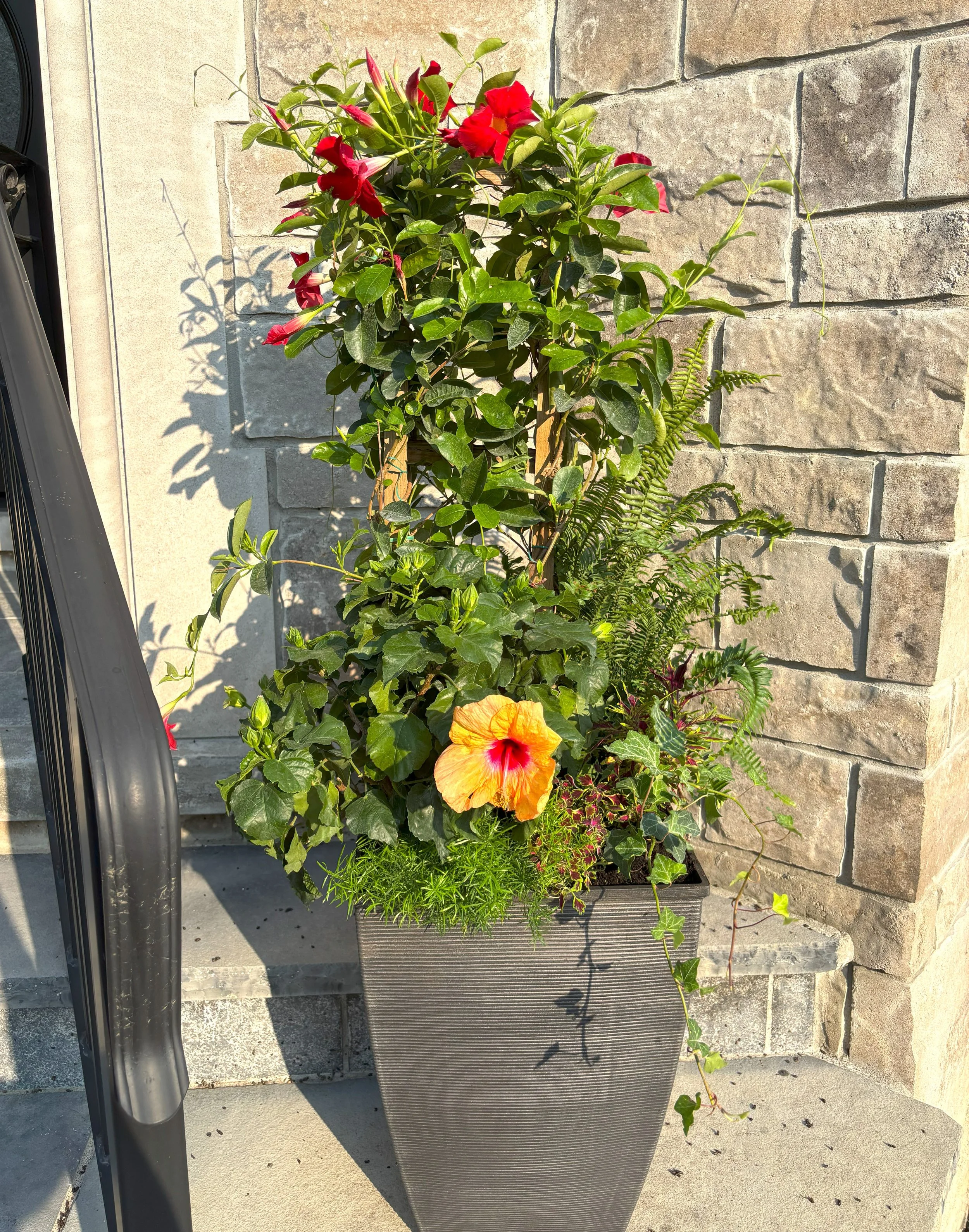 Summer Luxury Planter Eden Designscapes.jpg